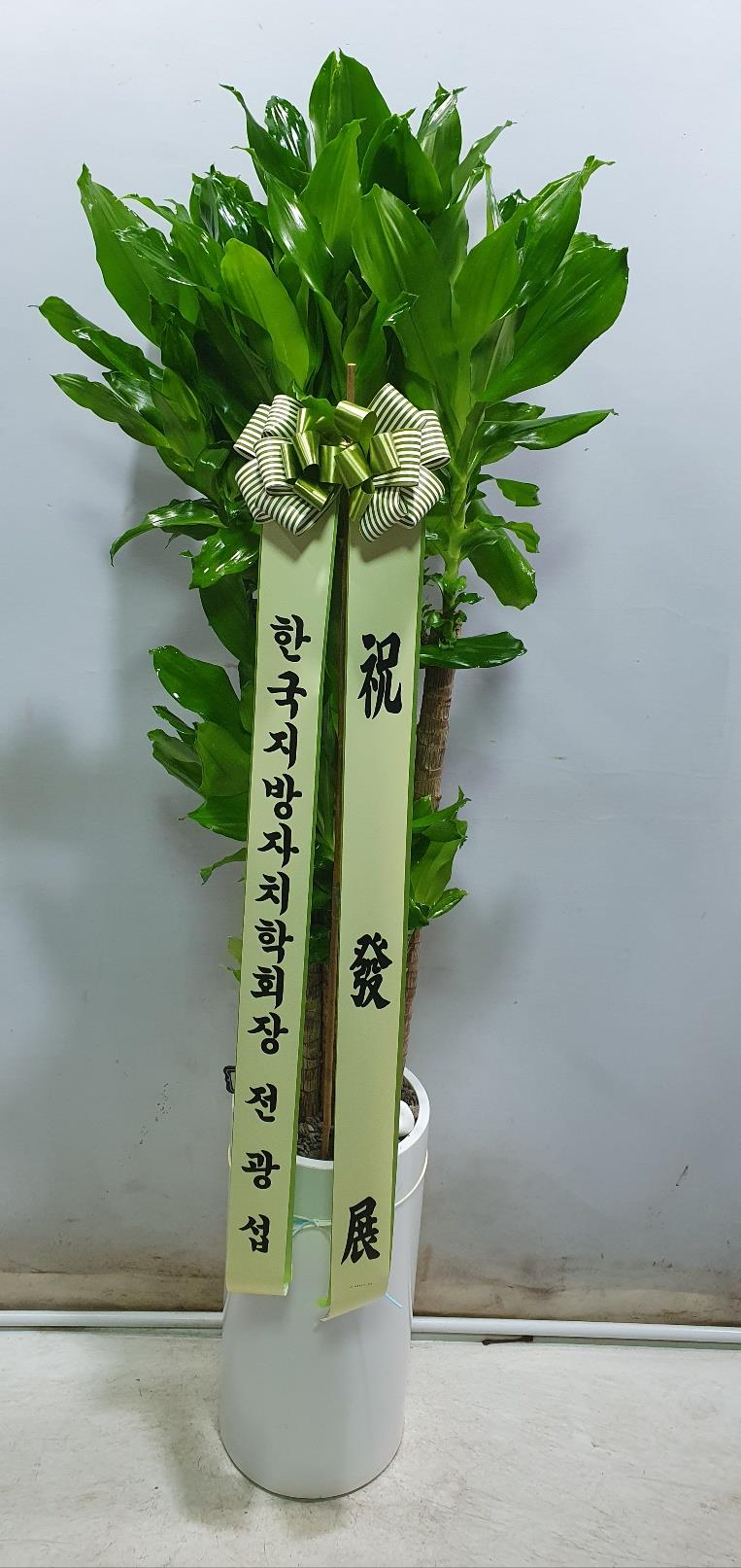 배송사진2