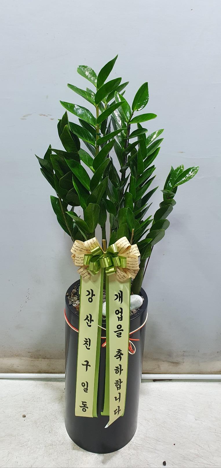 배송사진2