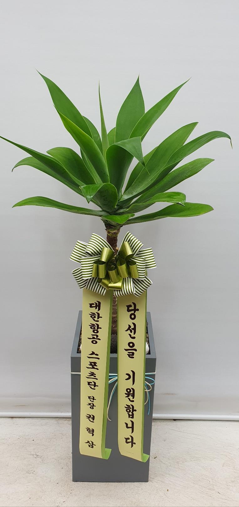 배송사진2