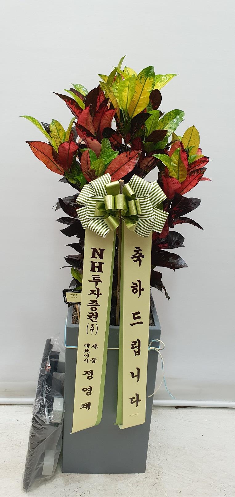 배송사진2