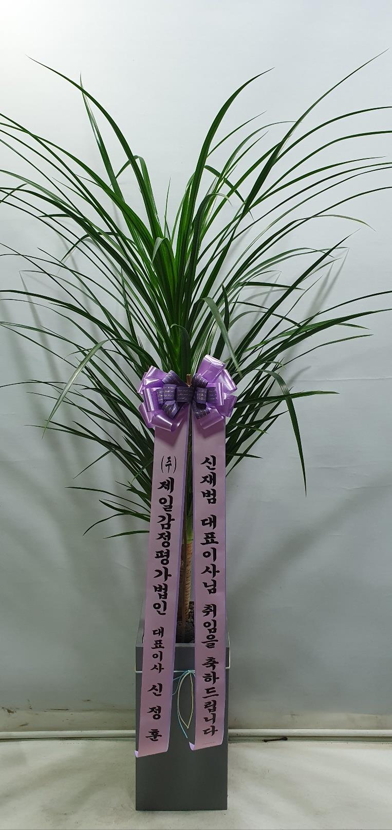 배송사진2