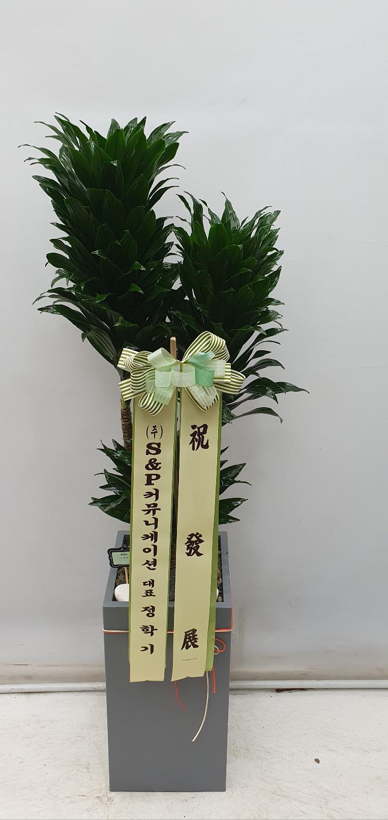 배송사진2