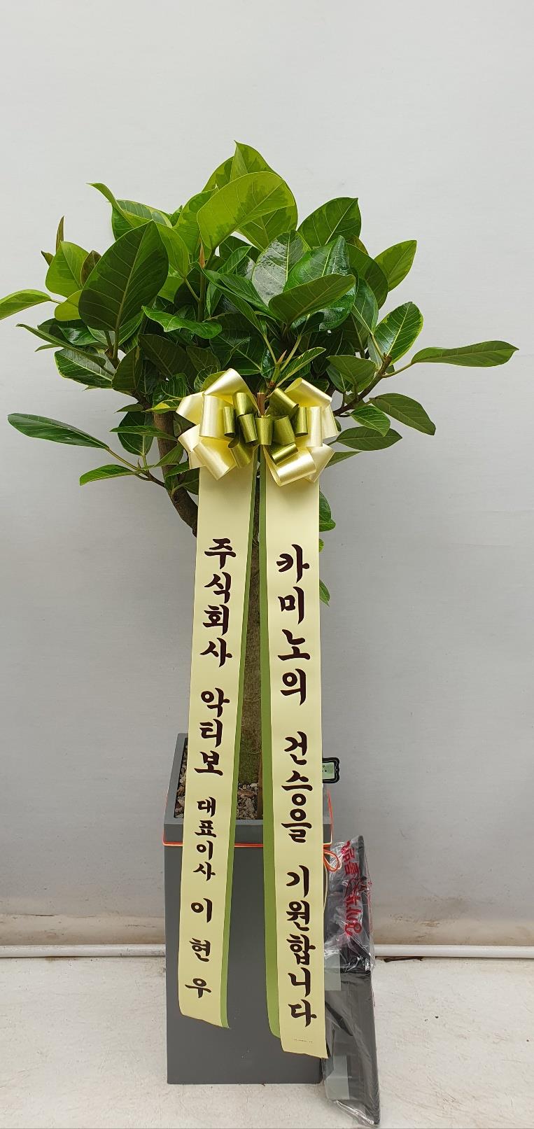 배송사진