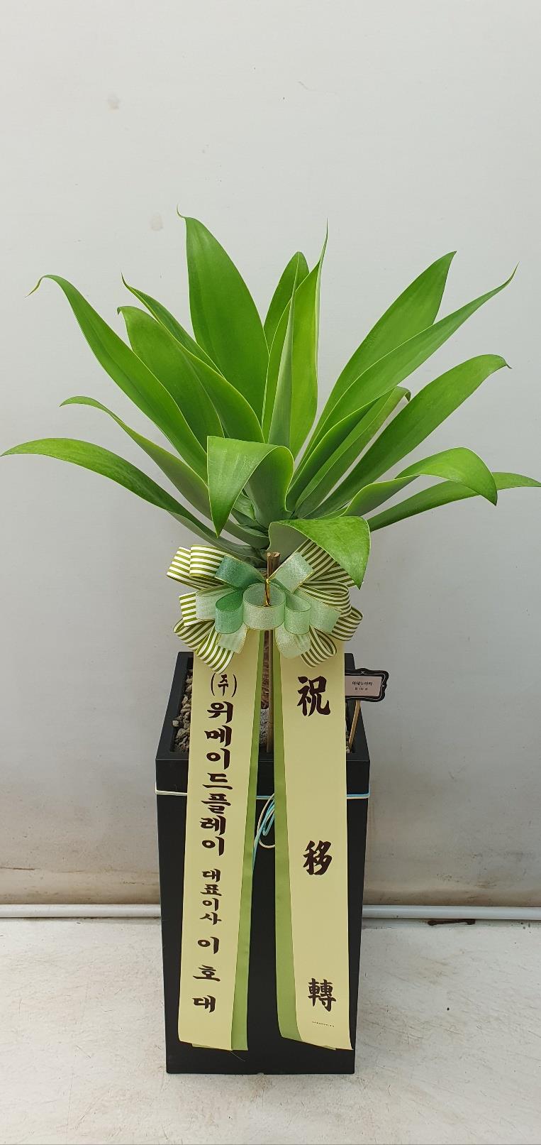 배송사진