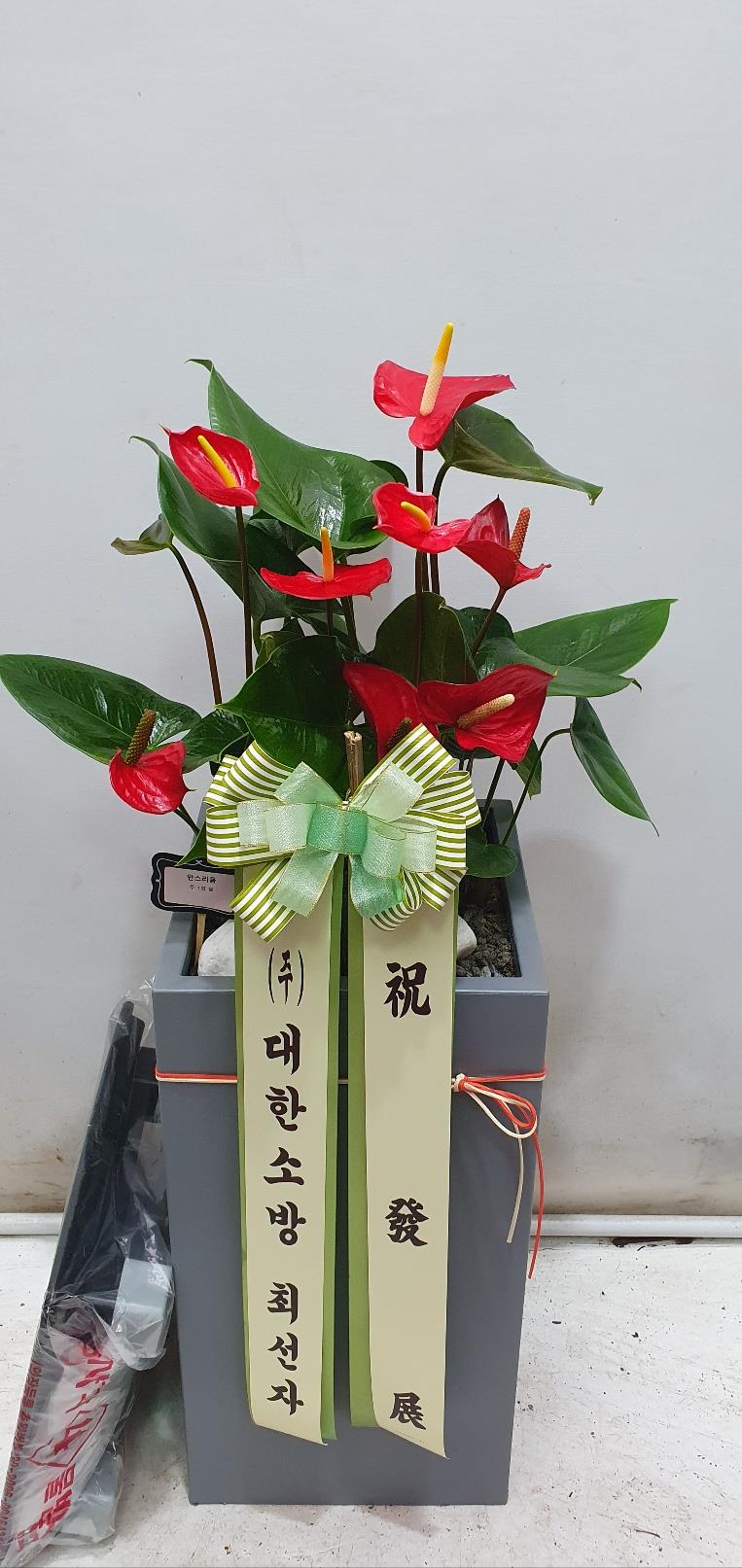 배송사진