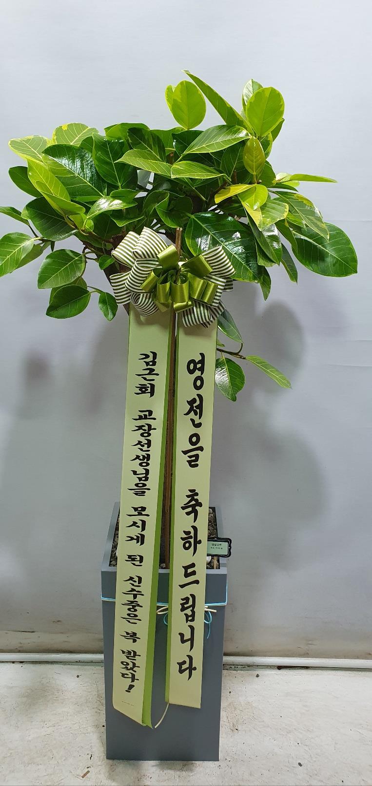 배송사진