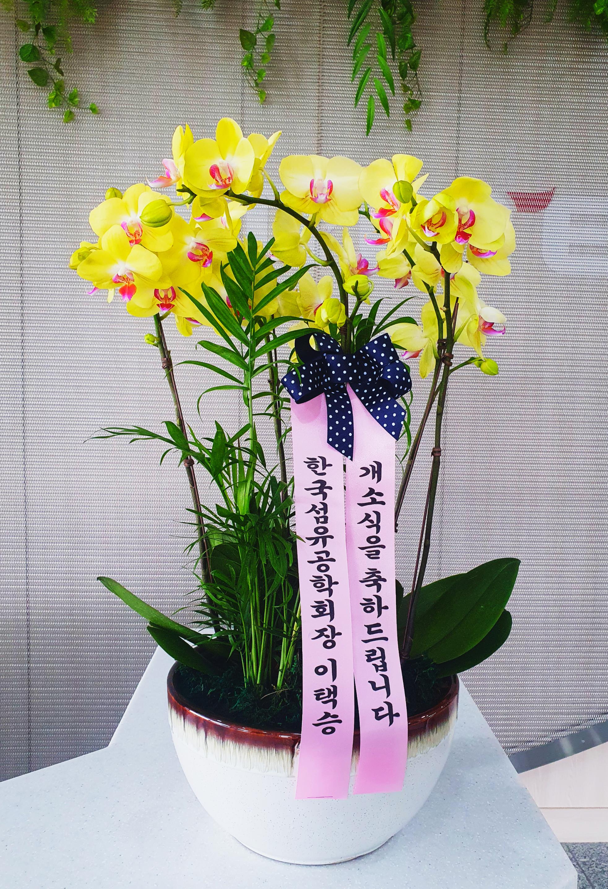 배송사진2