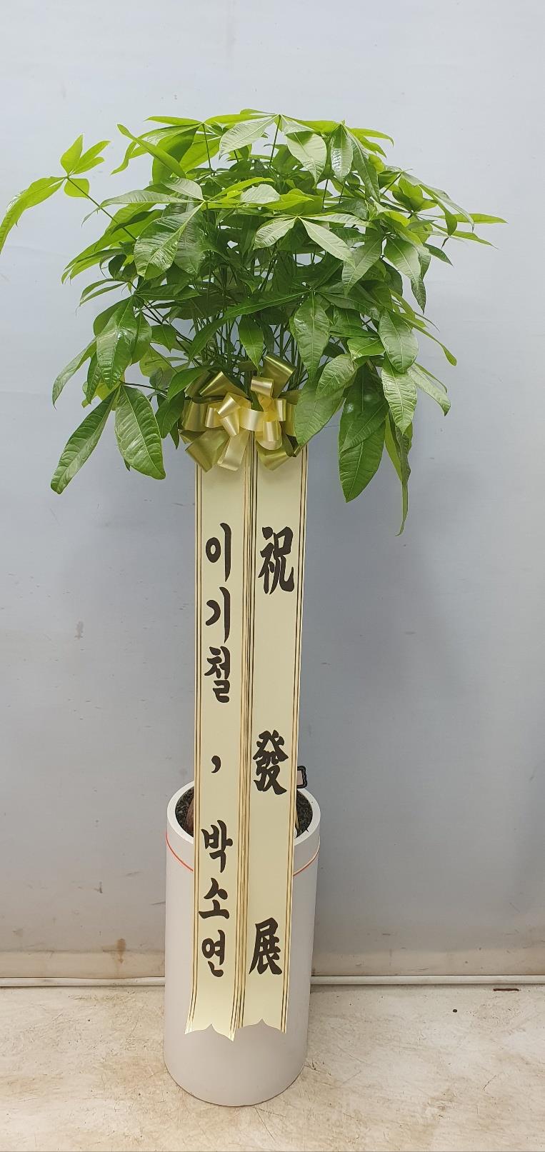배송사진2