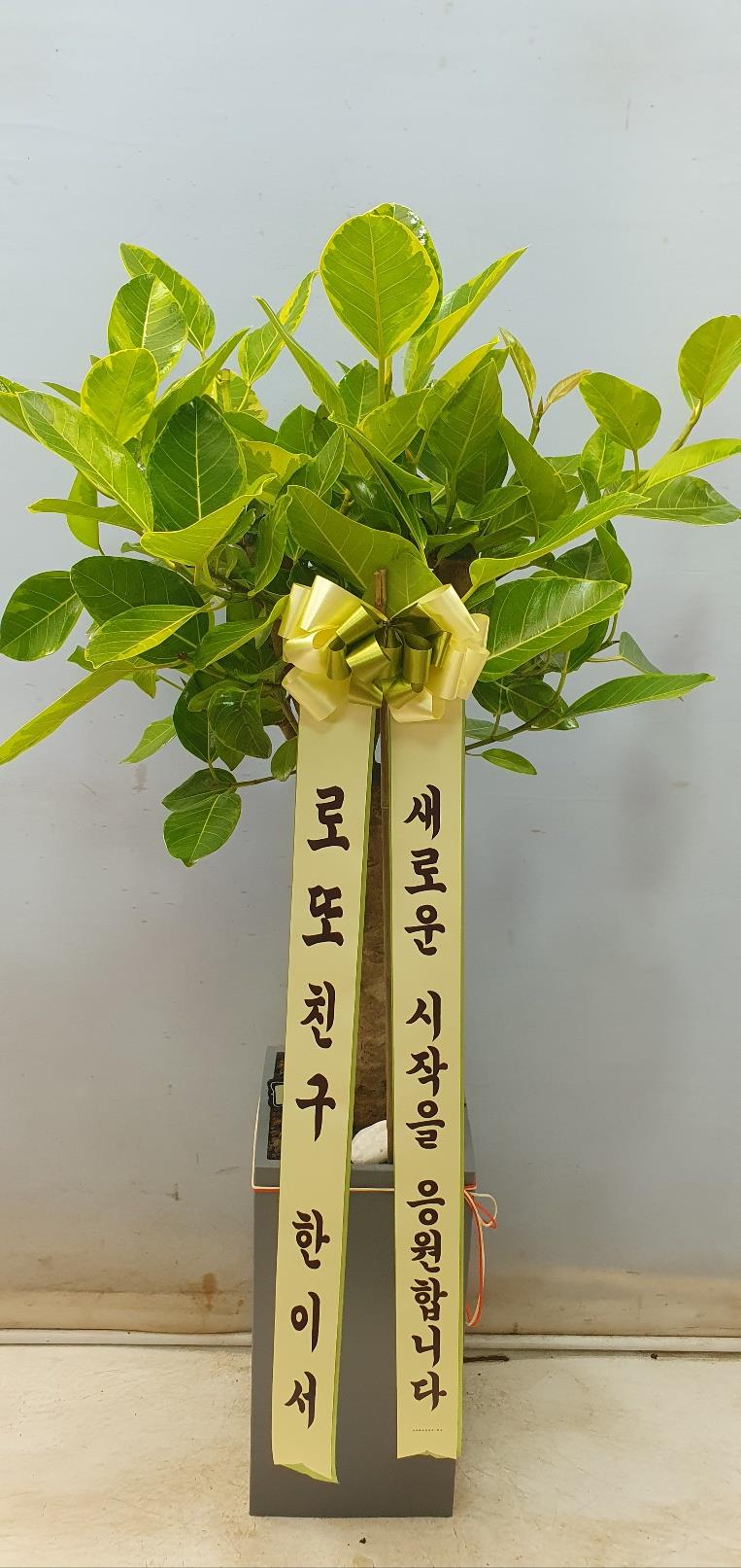 배송사진2