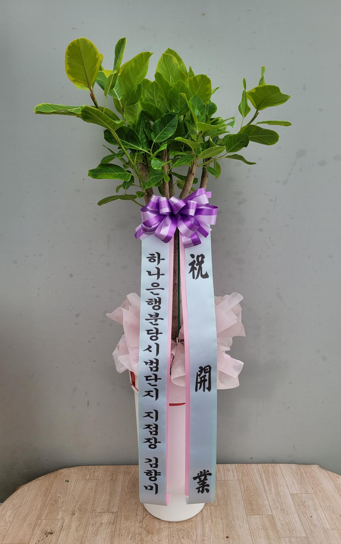 배송사진