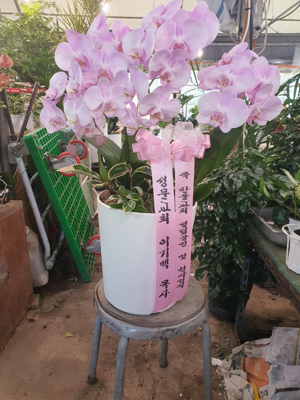 배송사진