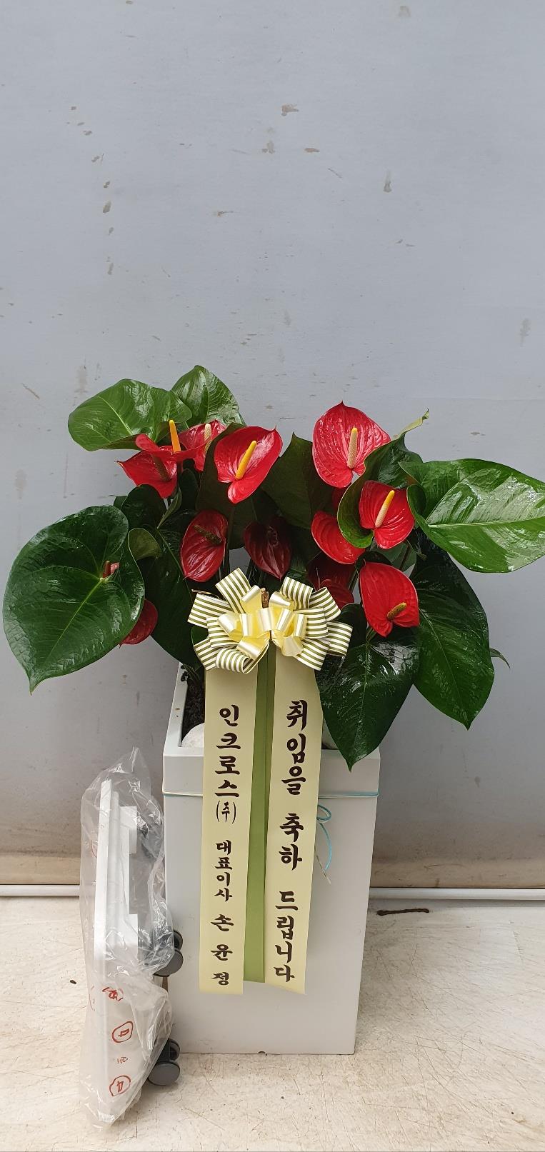 배송사진