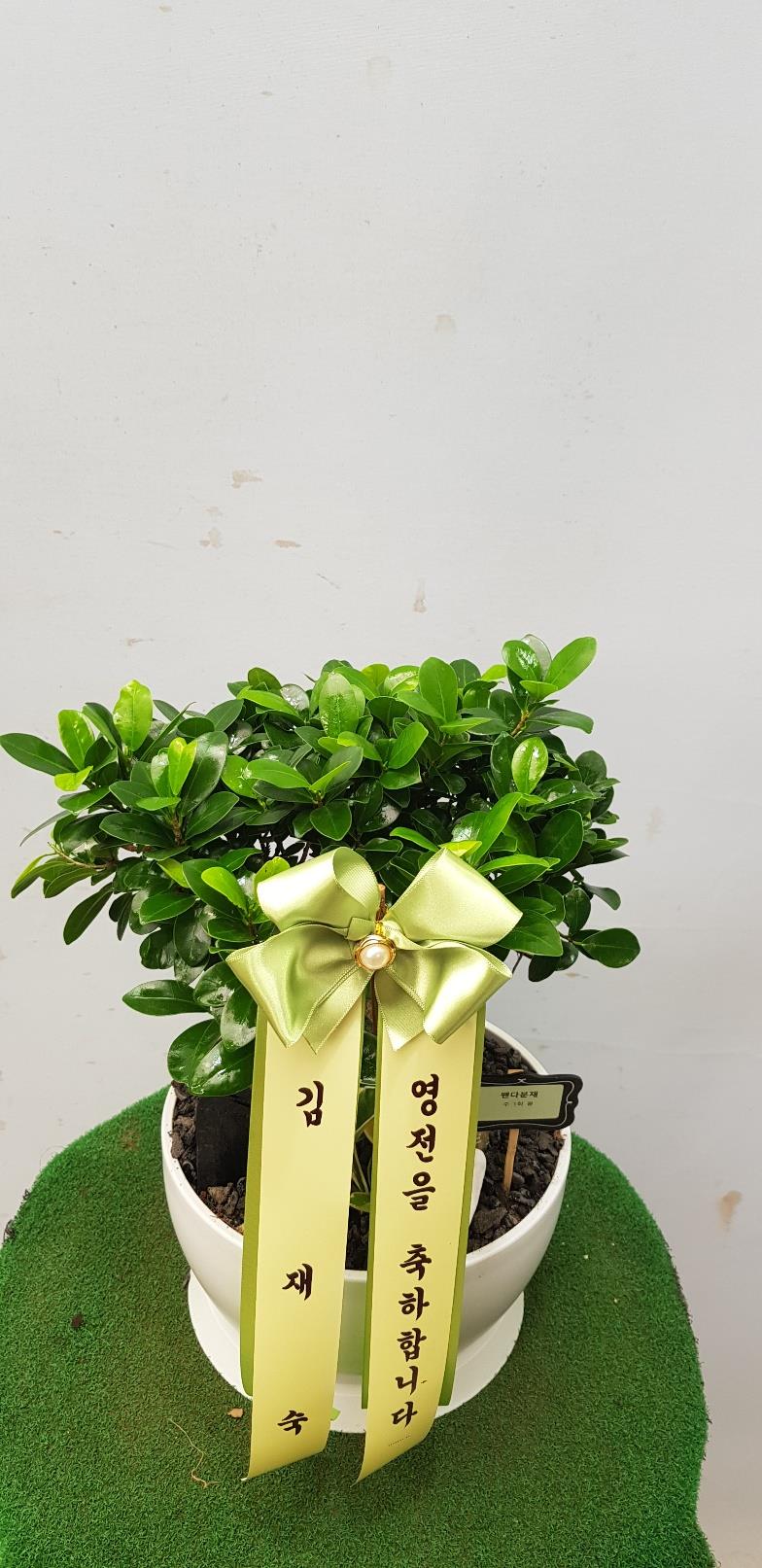 배송사진2