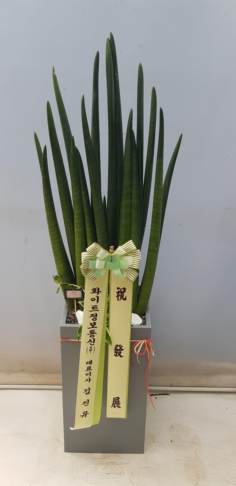 배송사진2