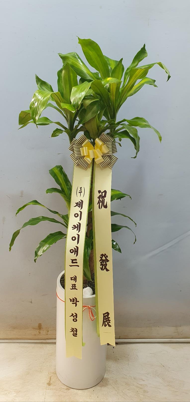 배송사진