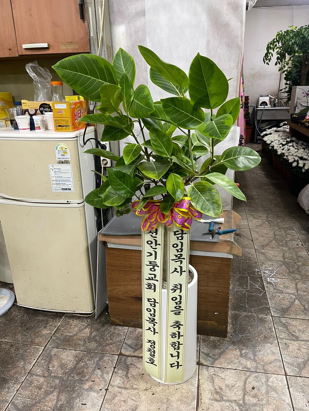 배송사진