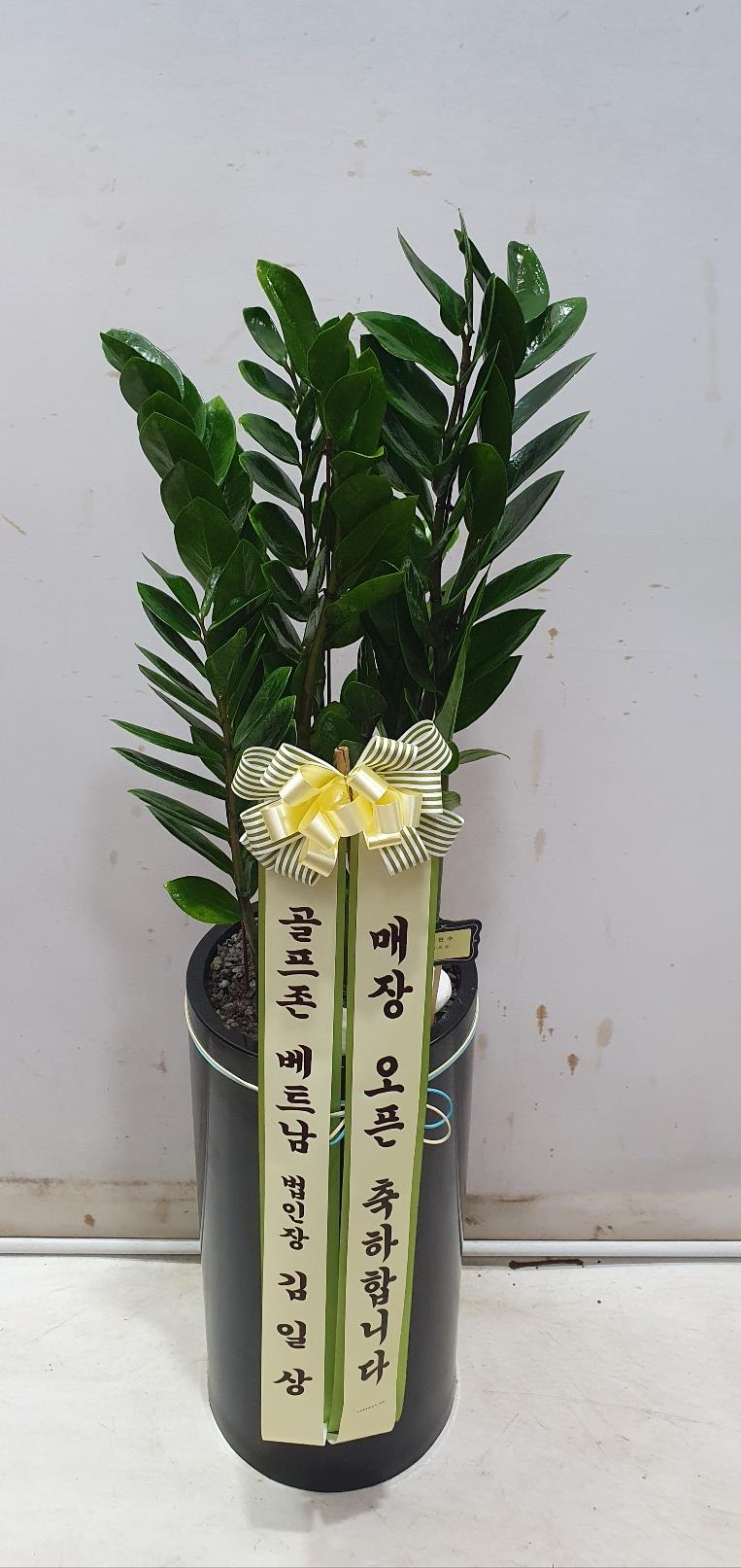 배송사진2
