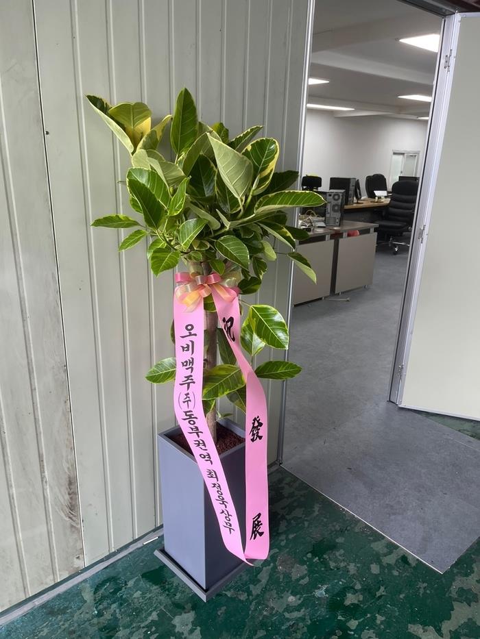 배송사진