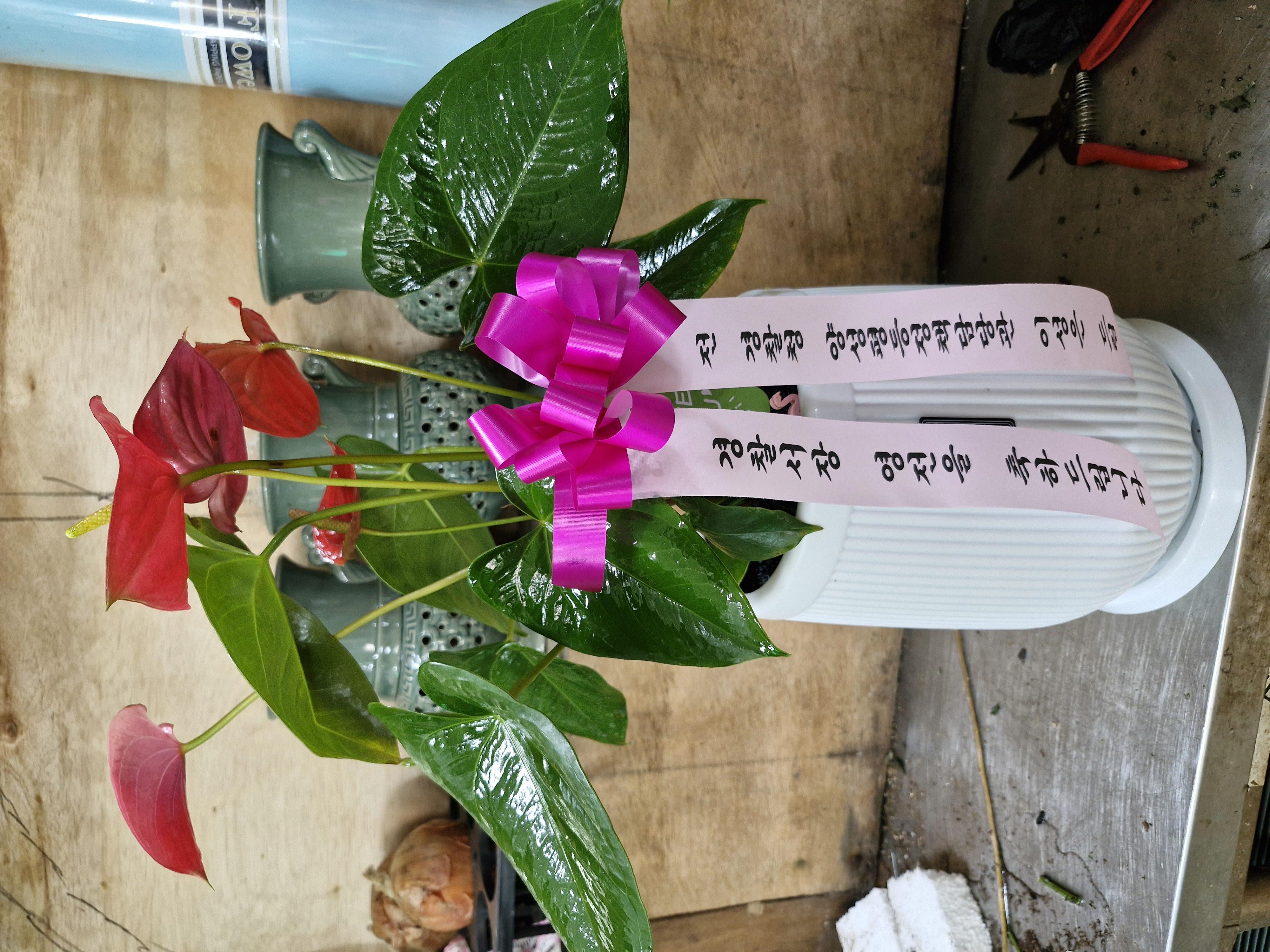 배송사진2
