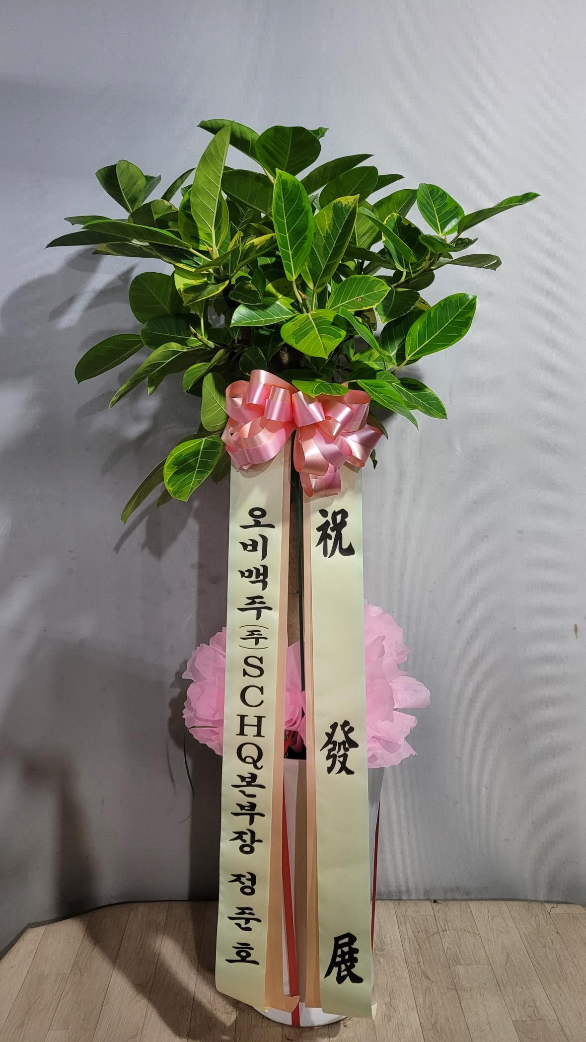 배송사진