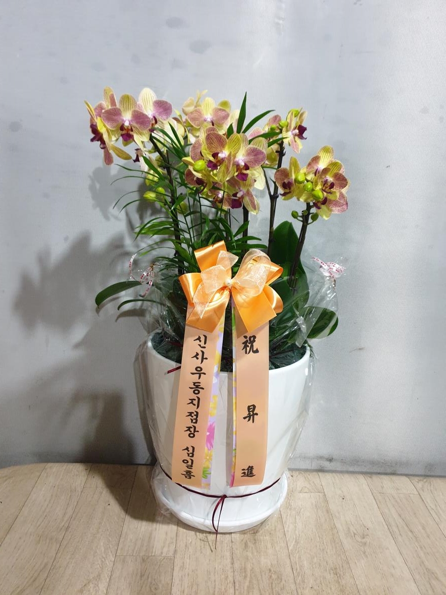 배송사진2