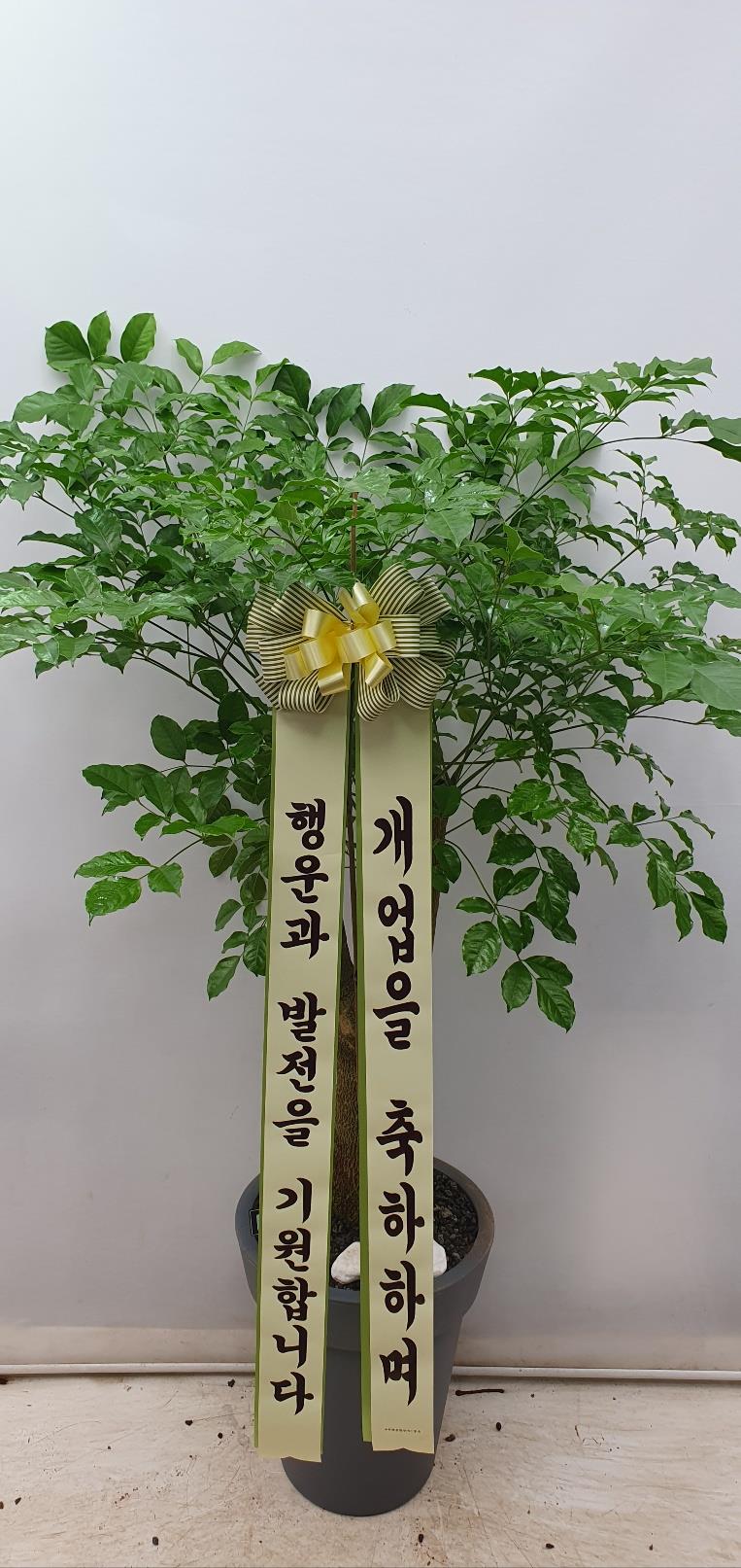 배송사진2