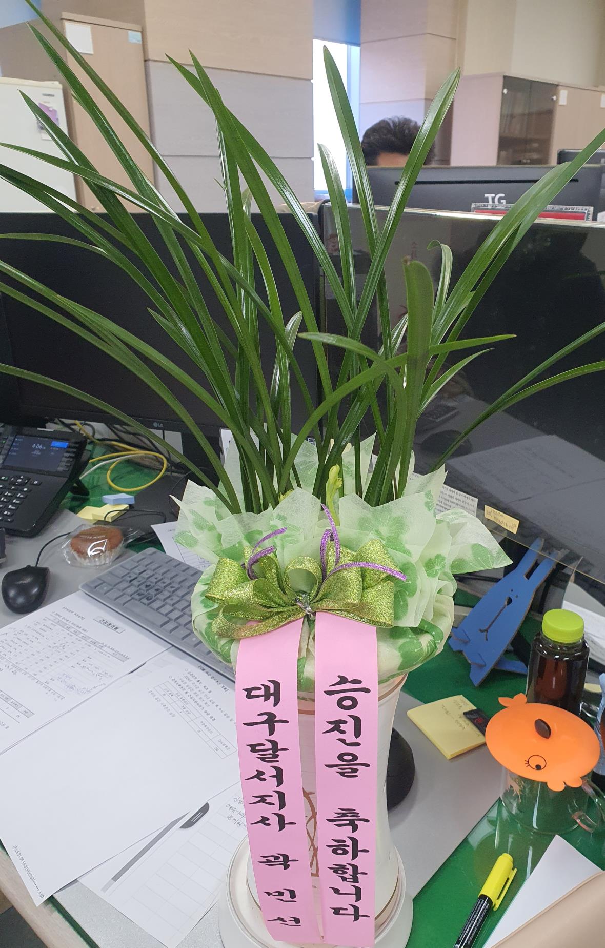 배송사진