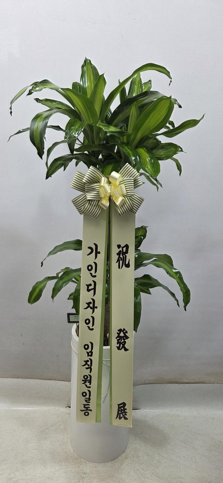 배송사진2