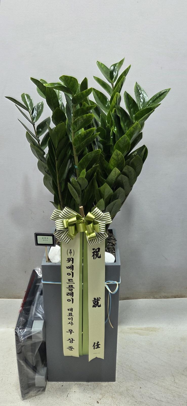 배송사진