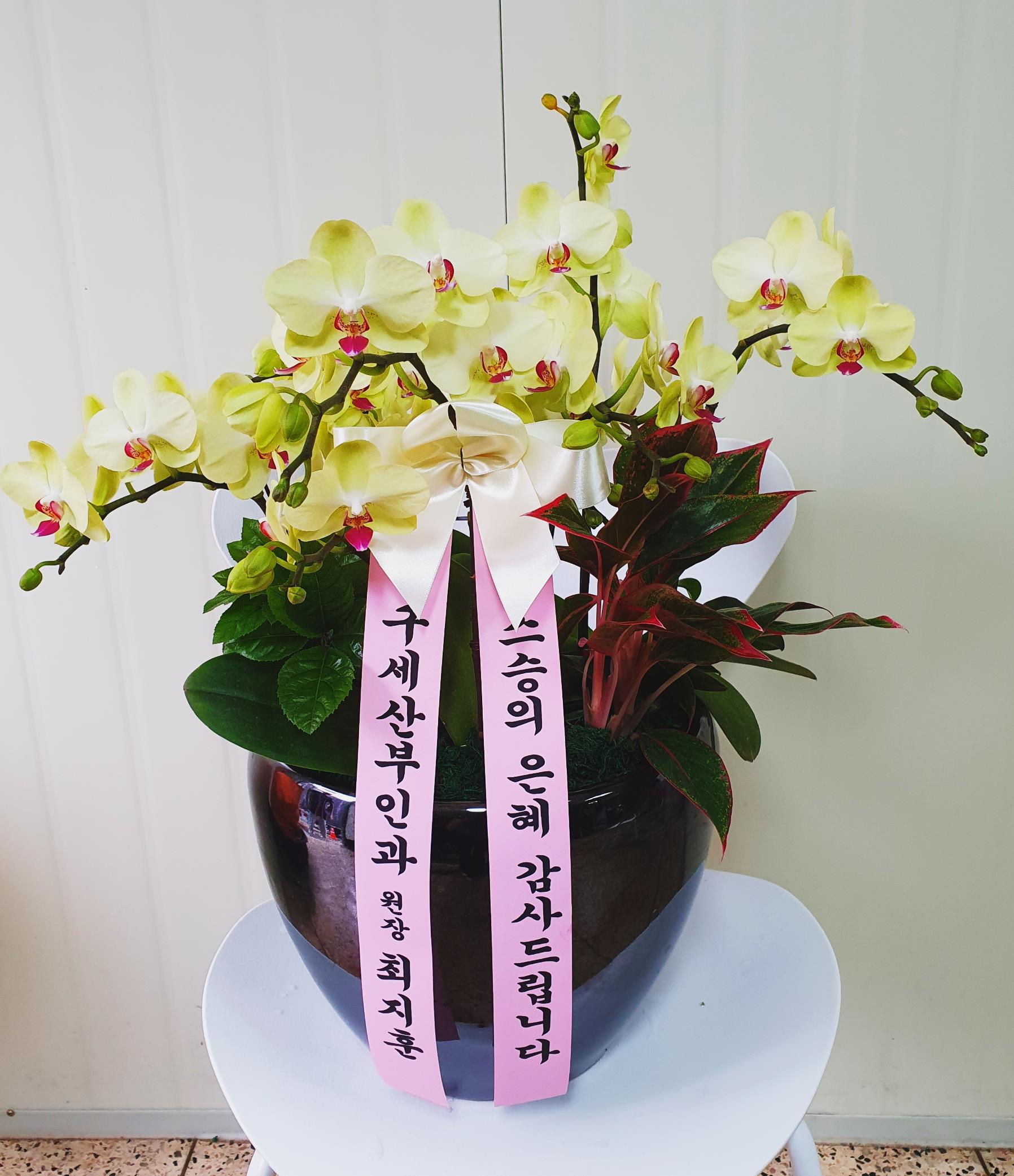 배송사진2