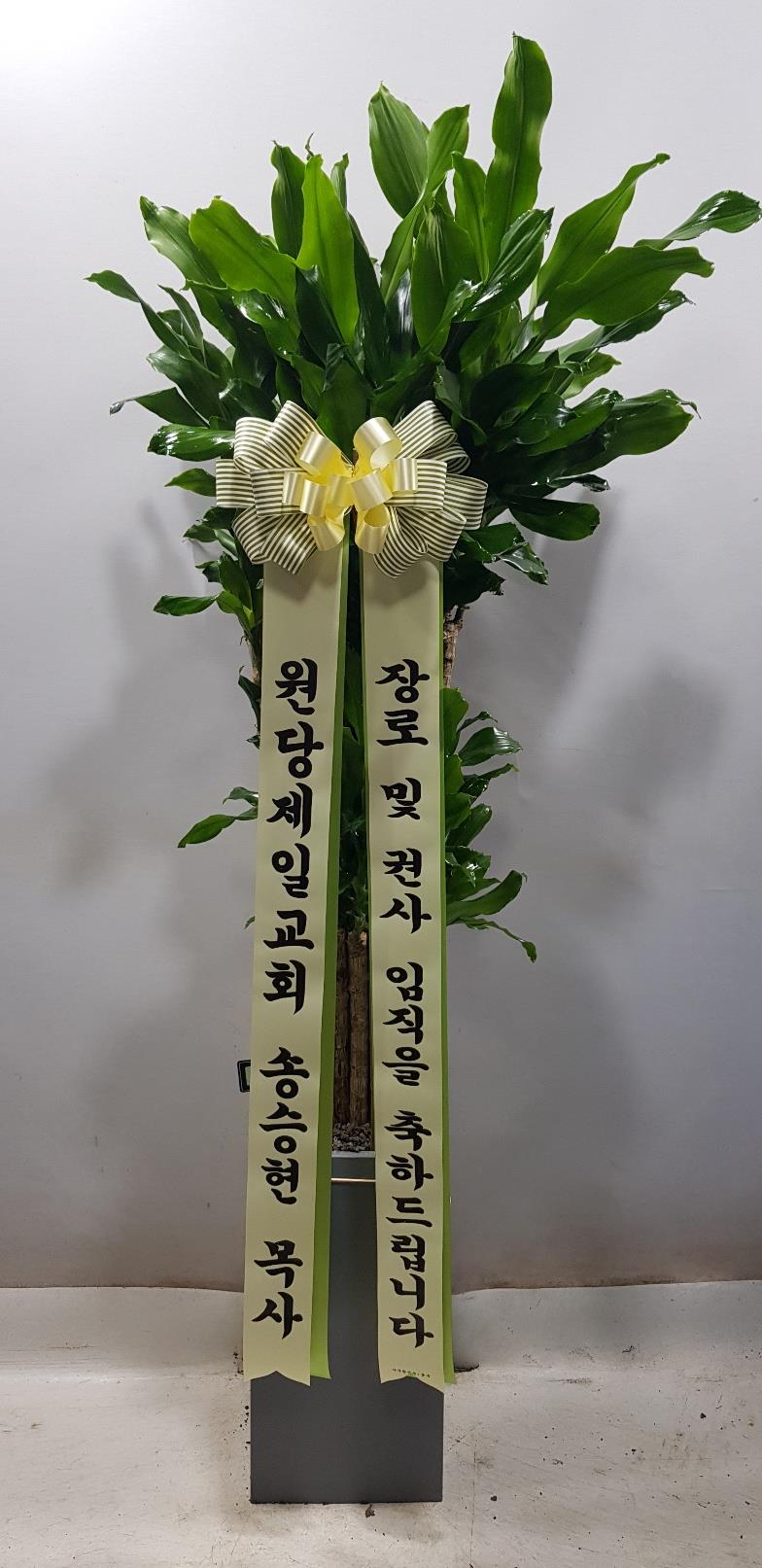 배송사진2