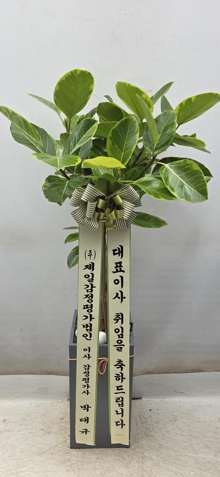 배송사진2