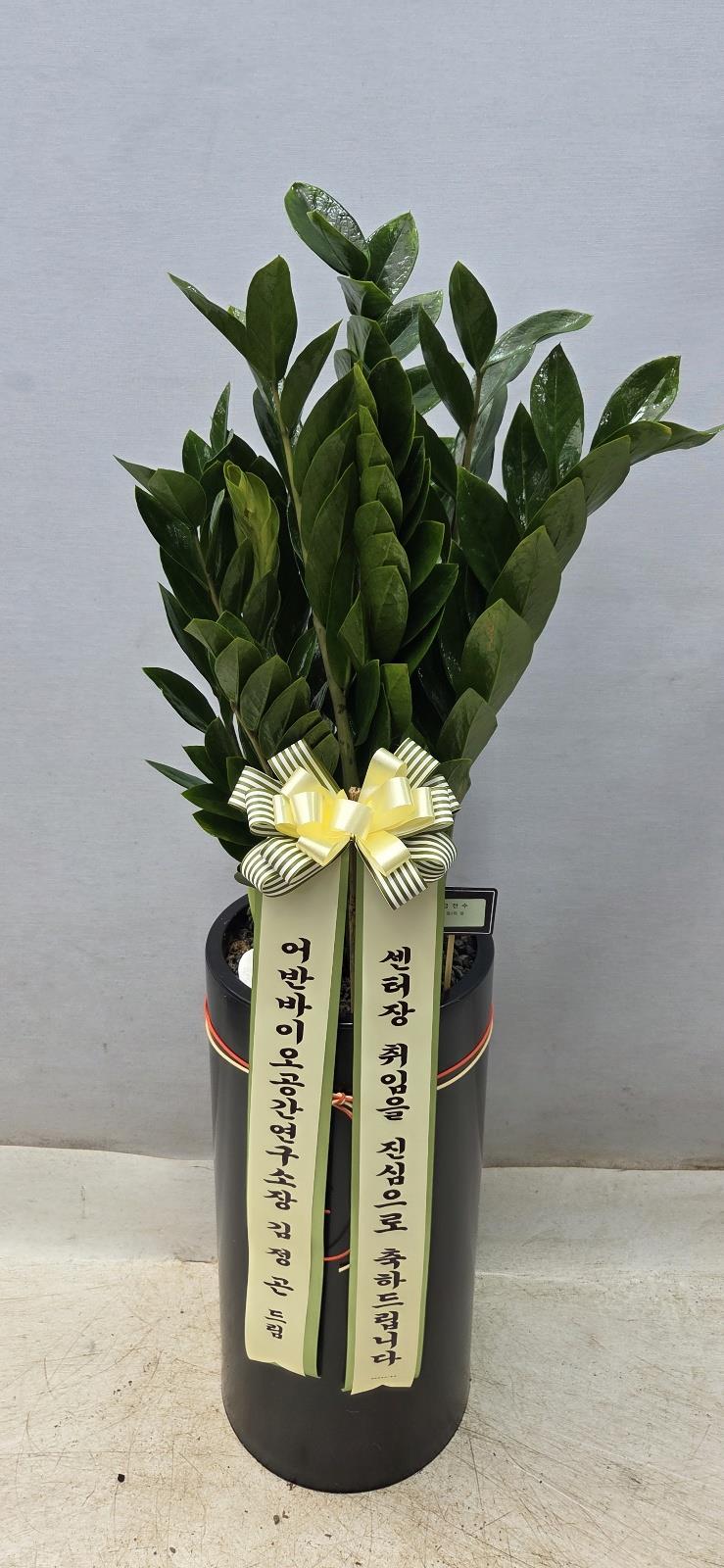배송사진2