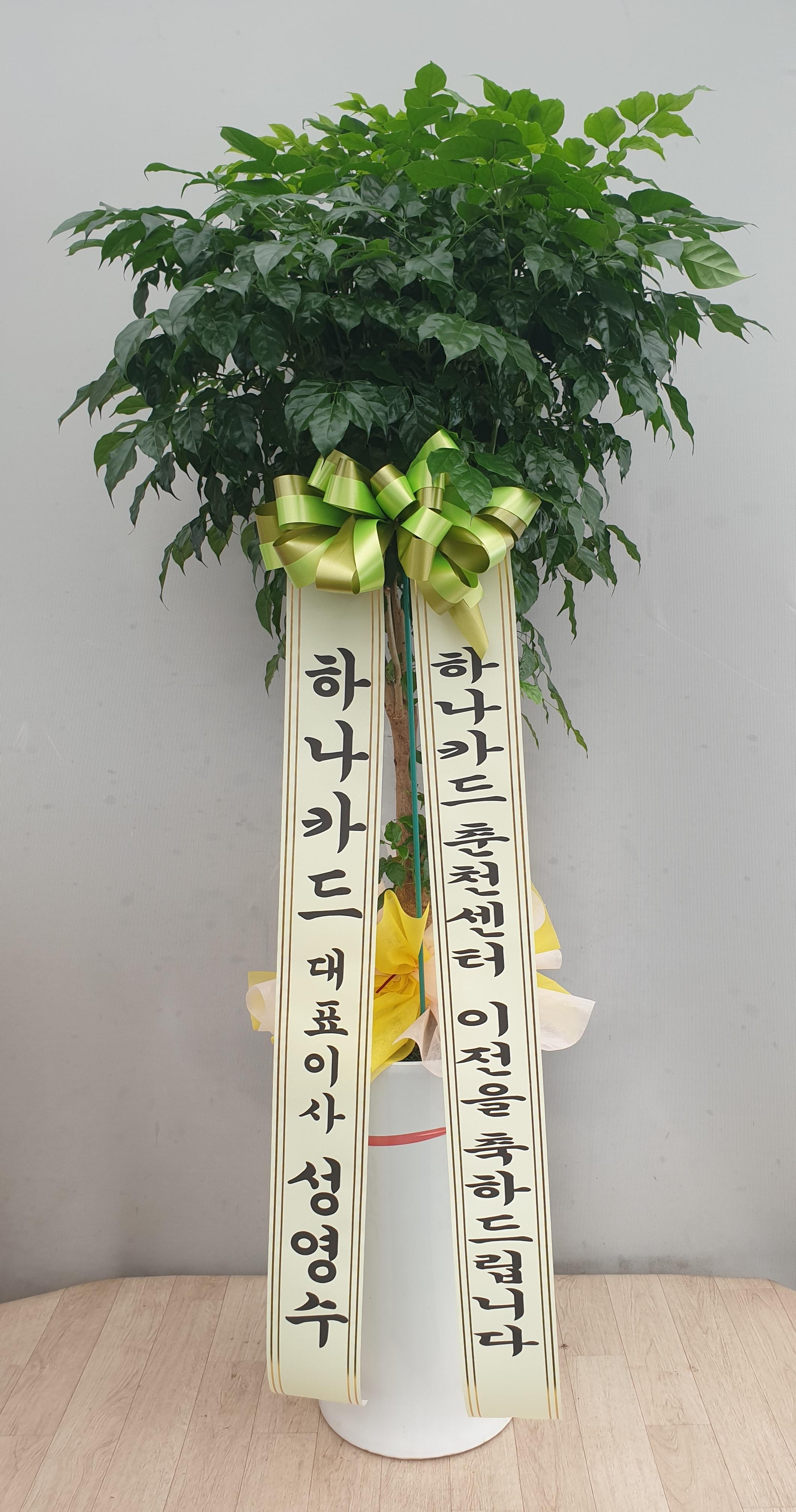 배송사진2