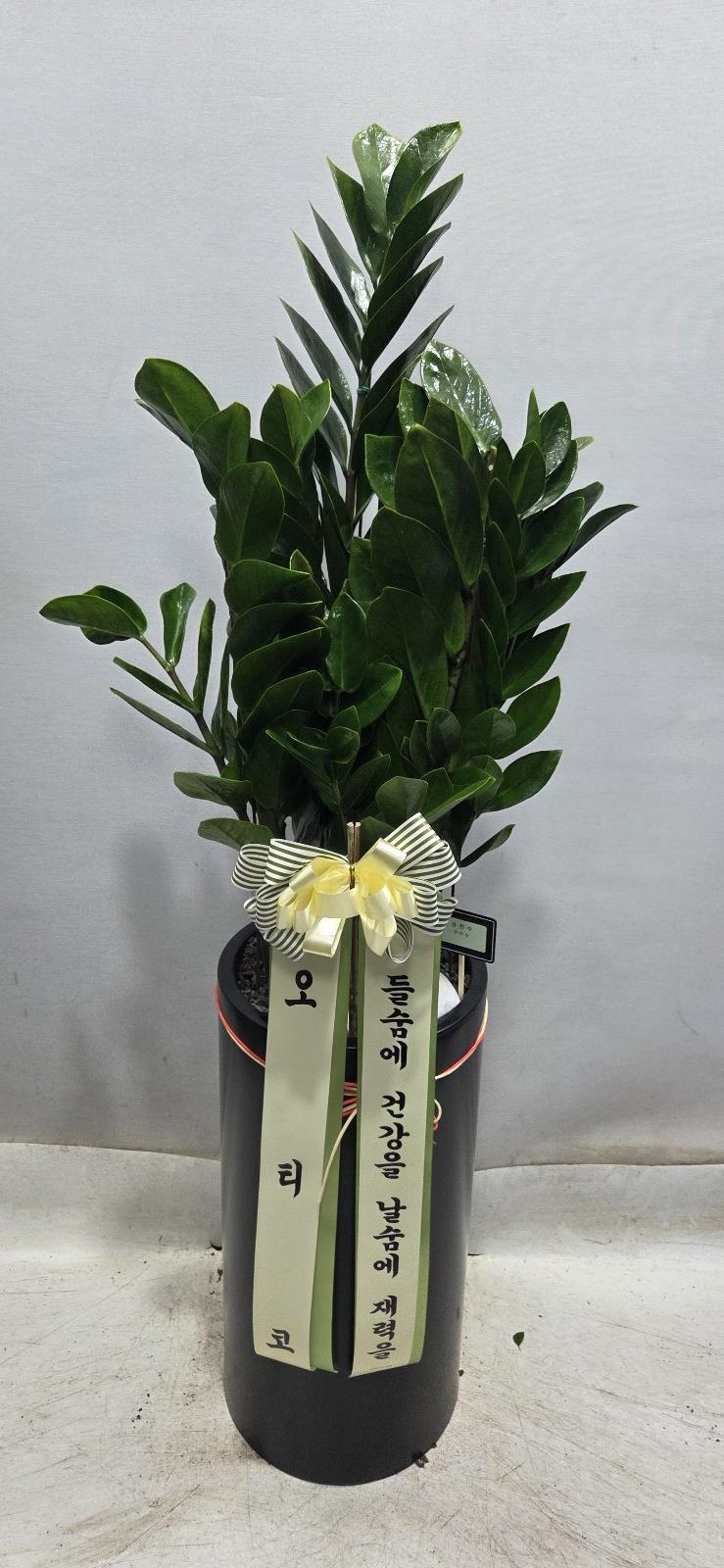 배송사진2
