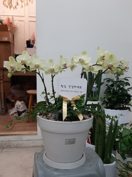 배송사진
