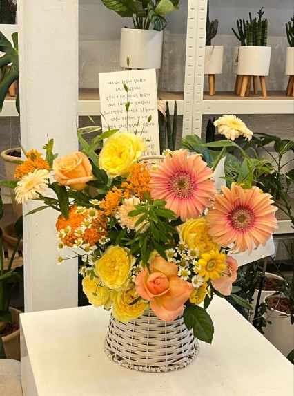 배송사진