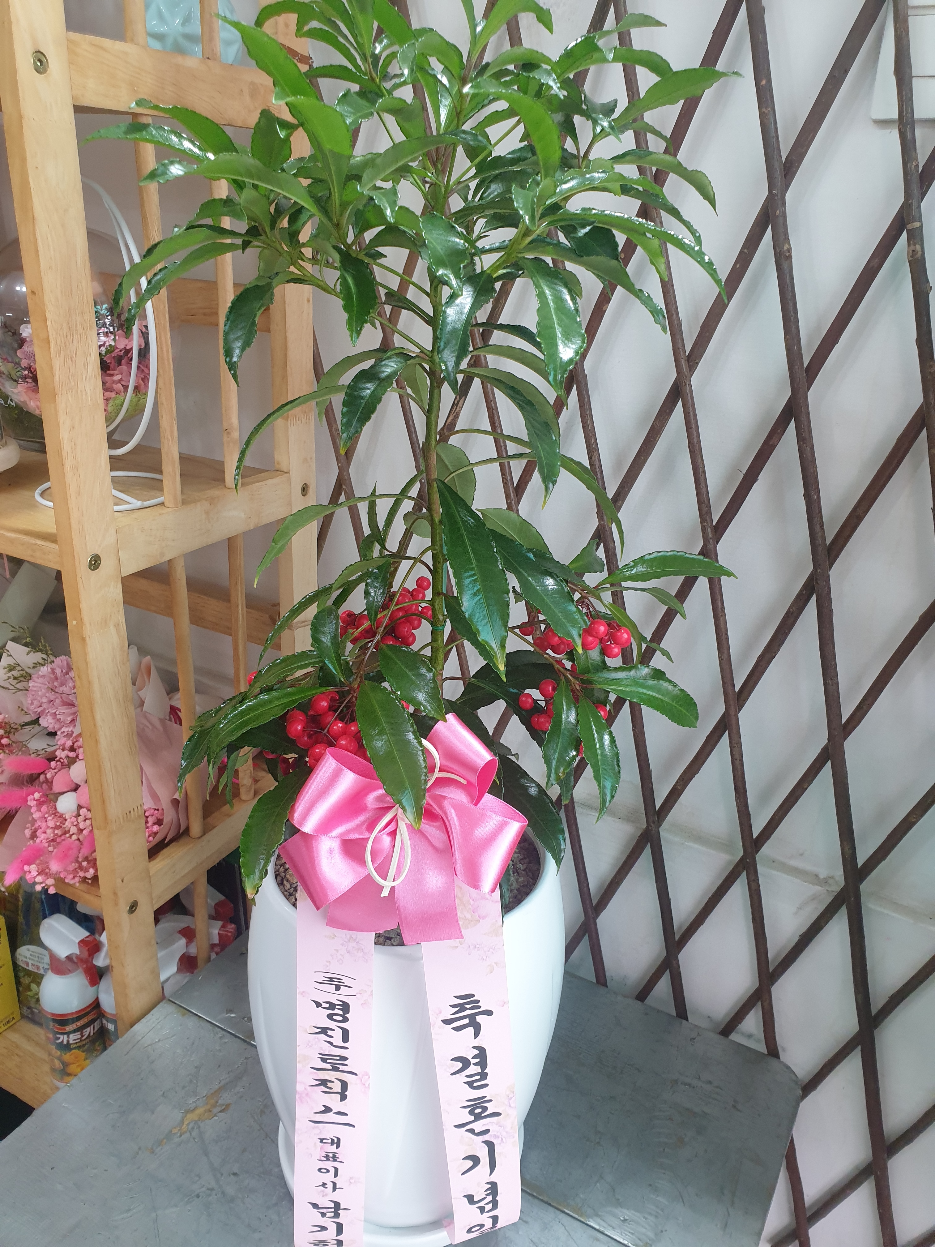 배송사진