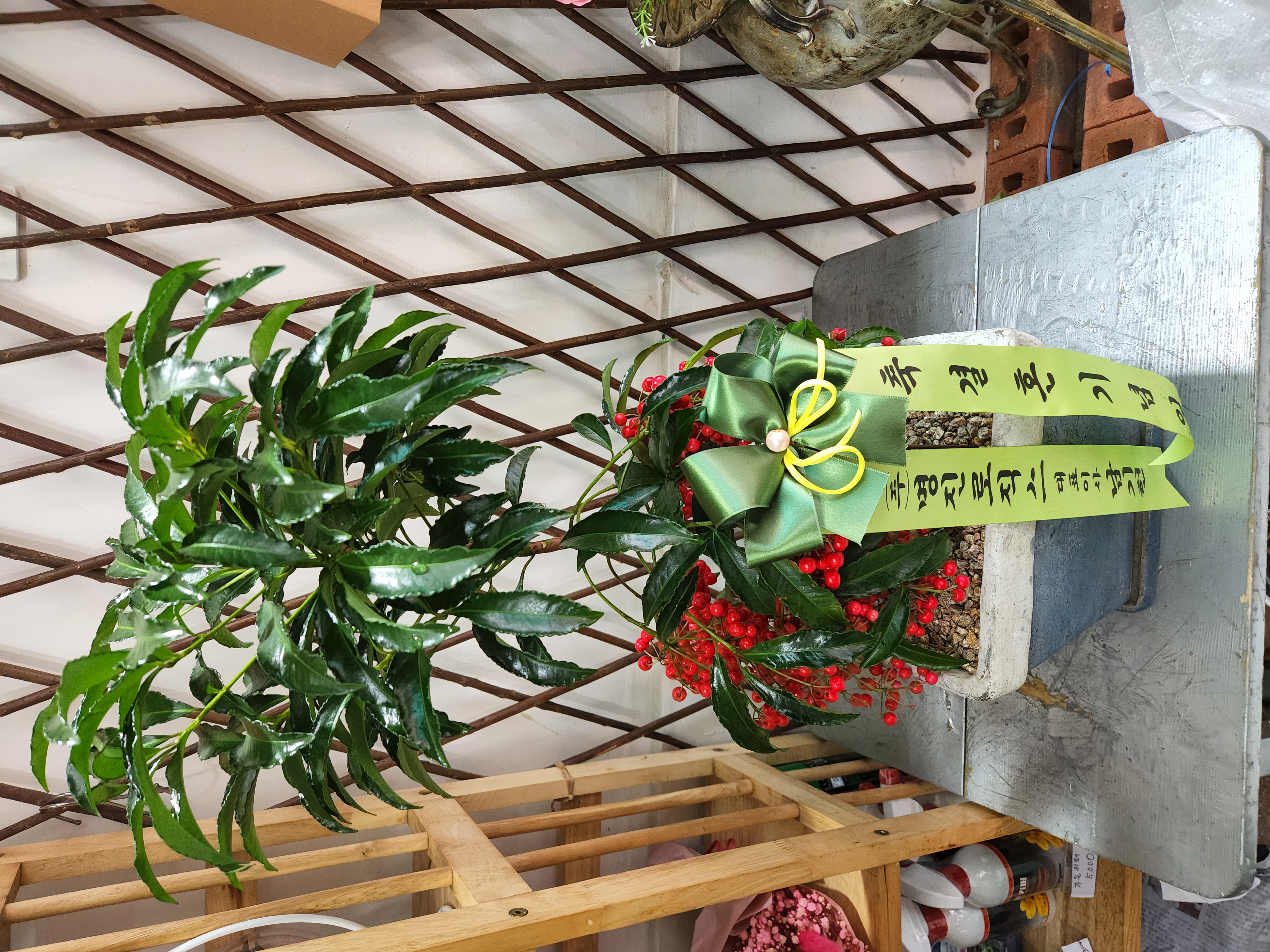 배송사진