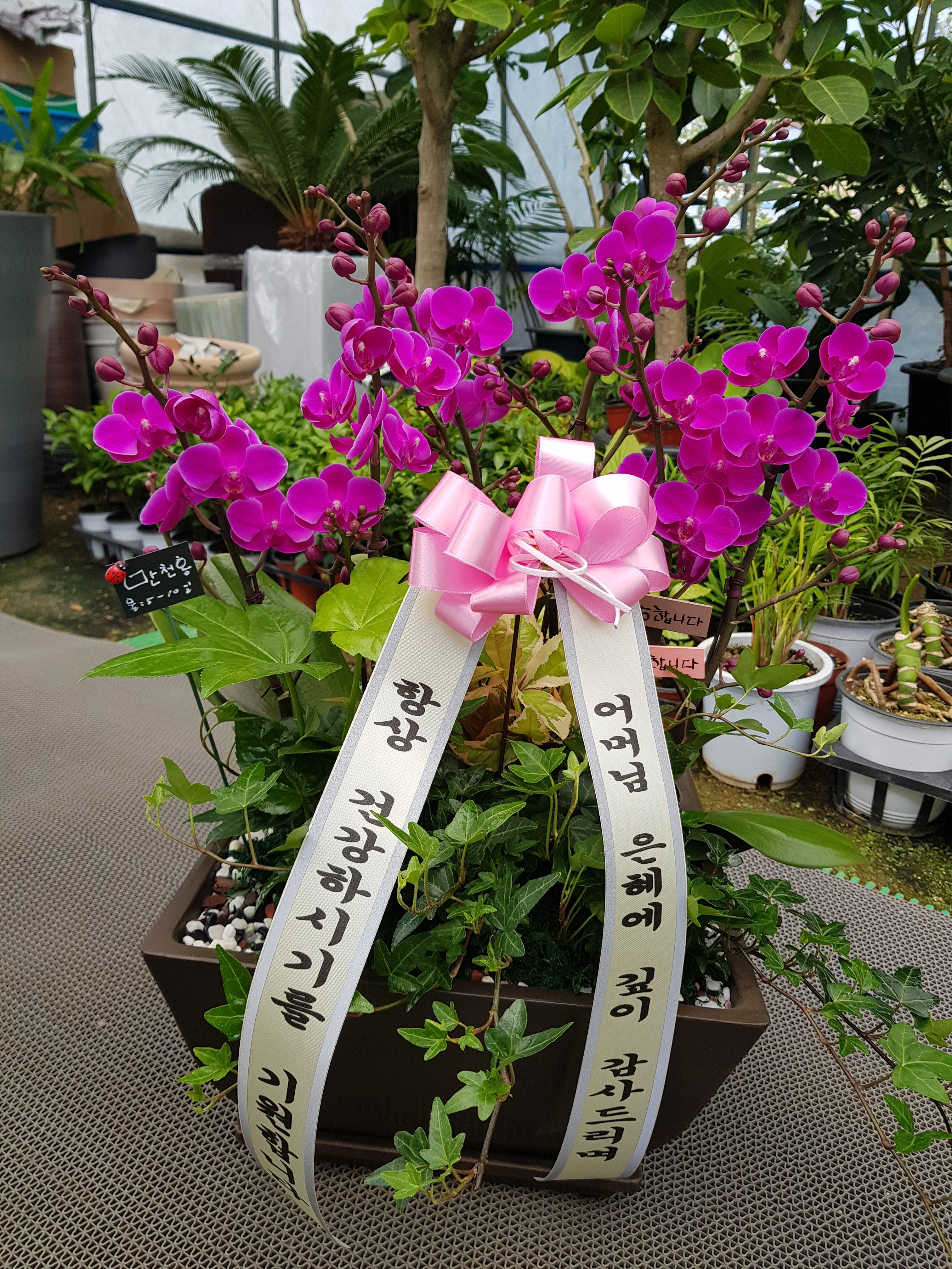 배송사진