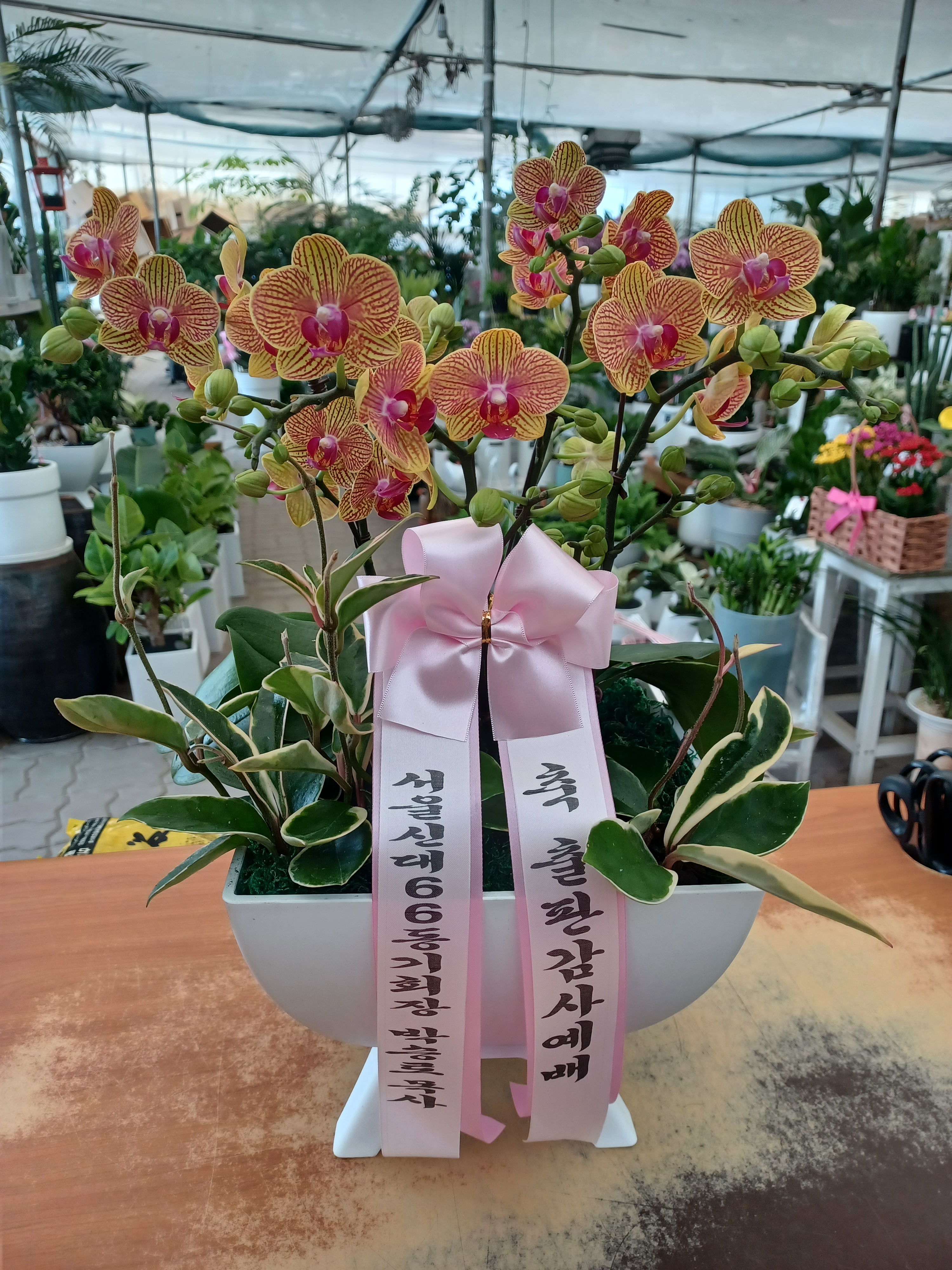 배송사진