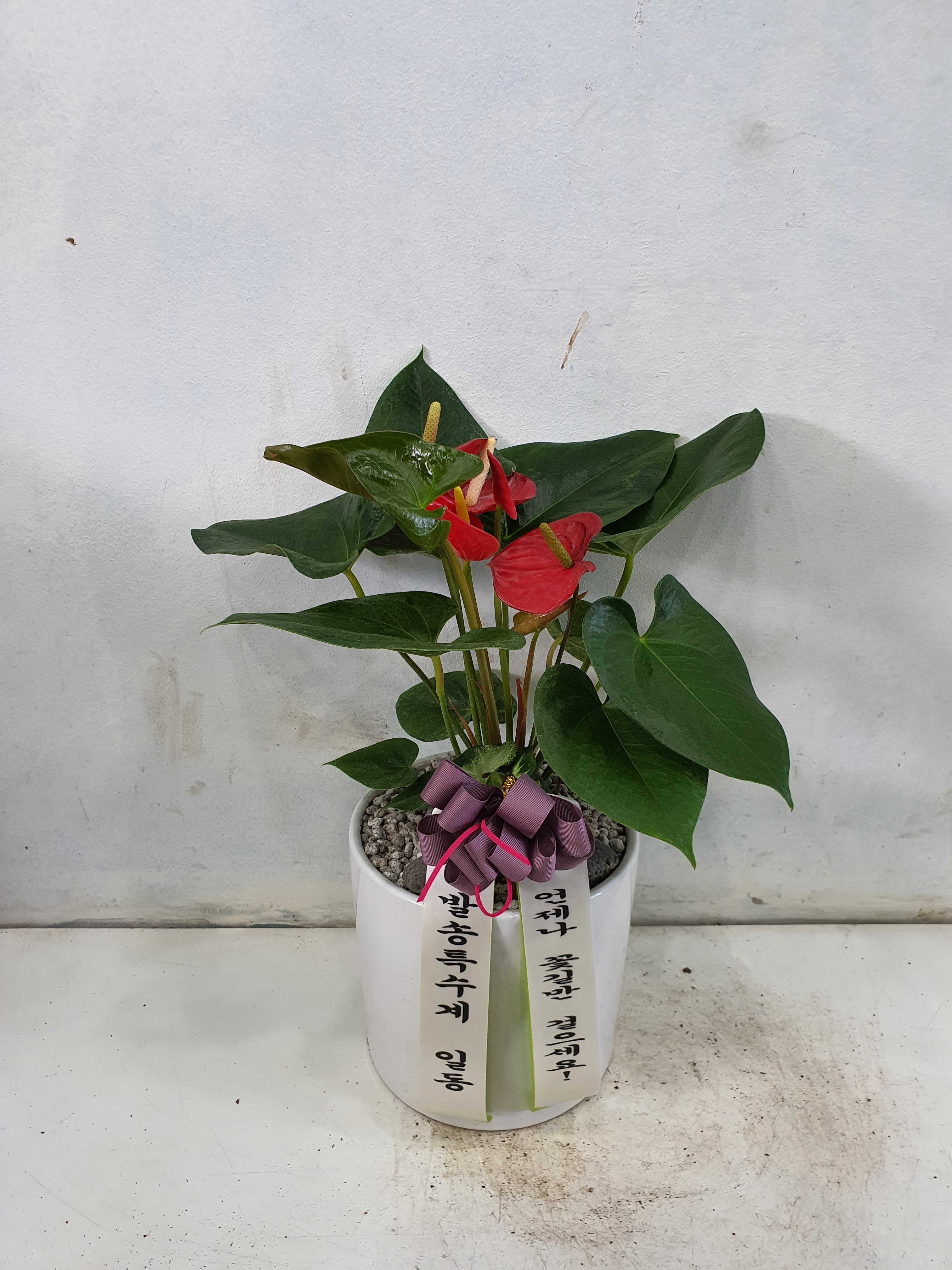 배송사진2