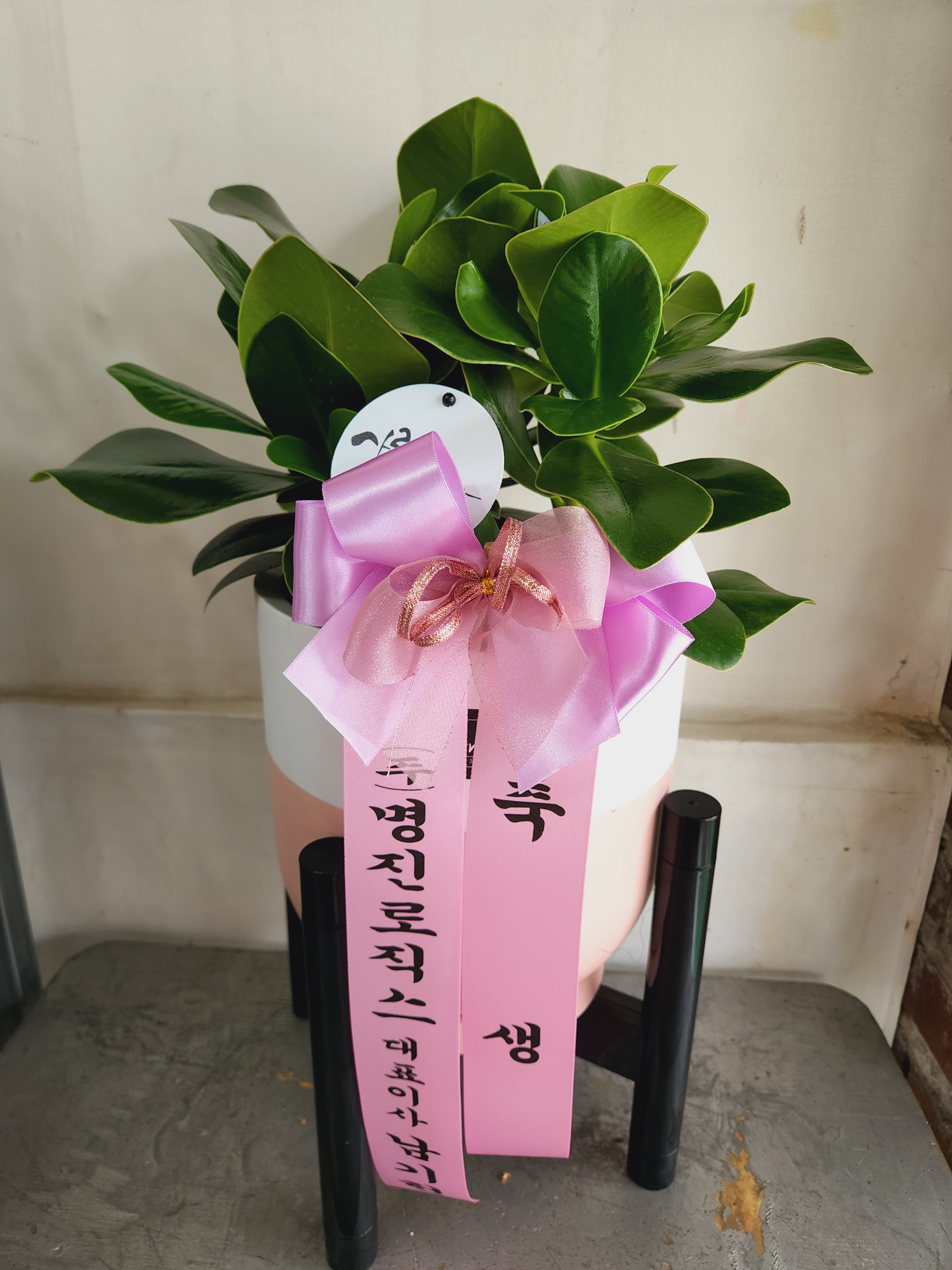 배송사진