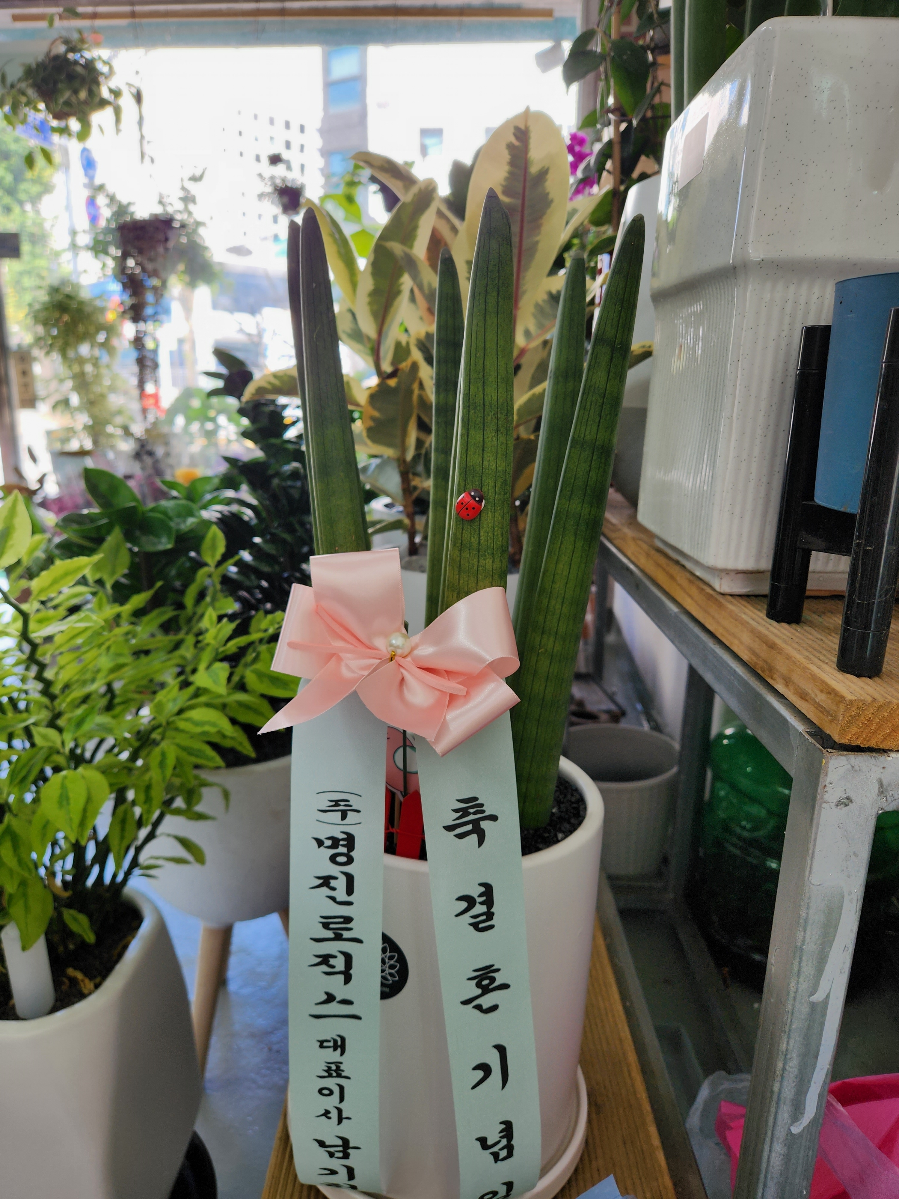 배송사진
