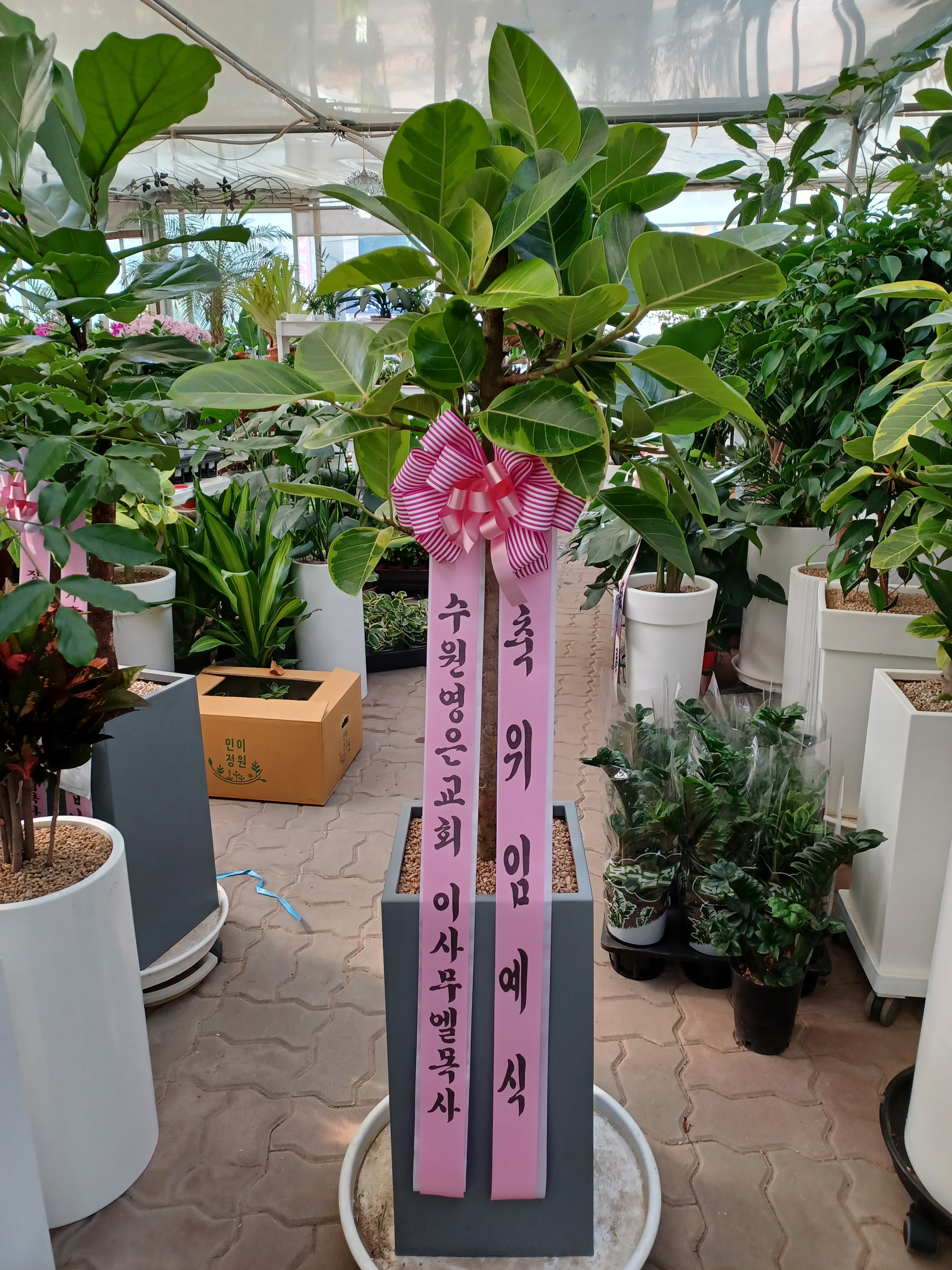 배송사진