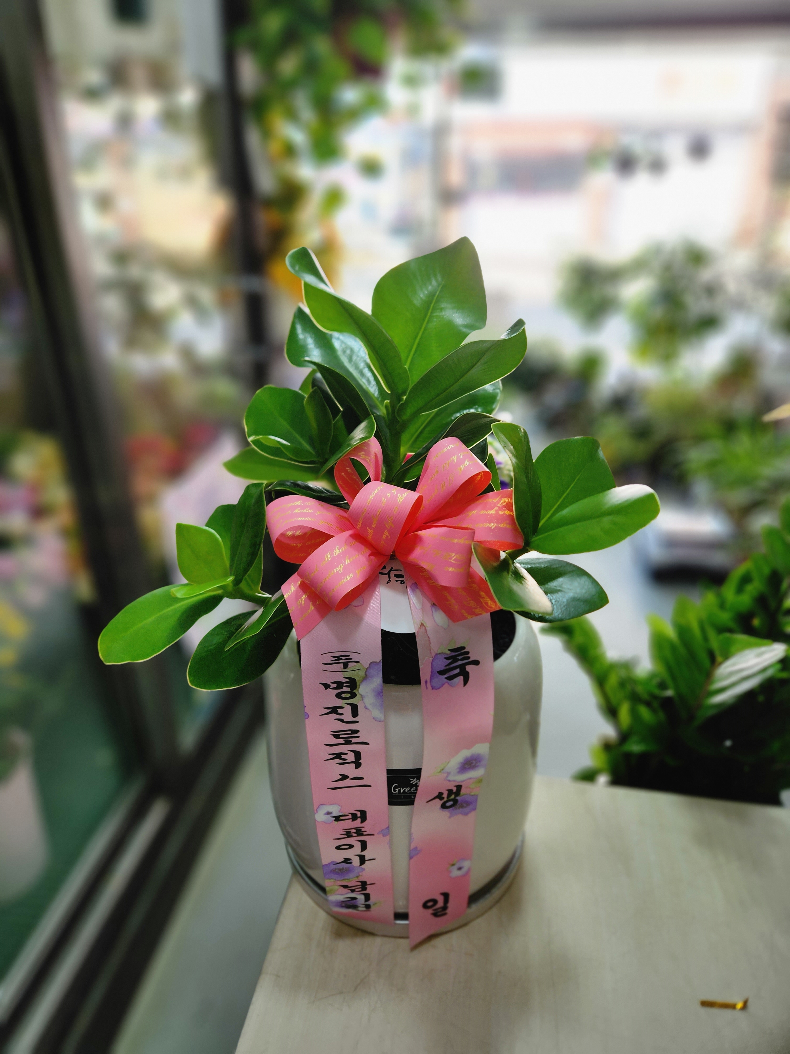 배송사진
