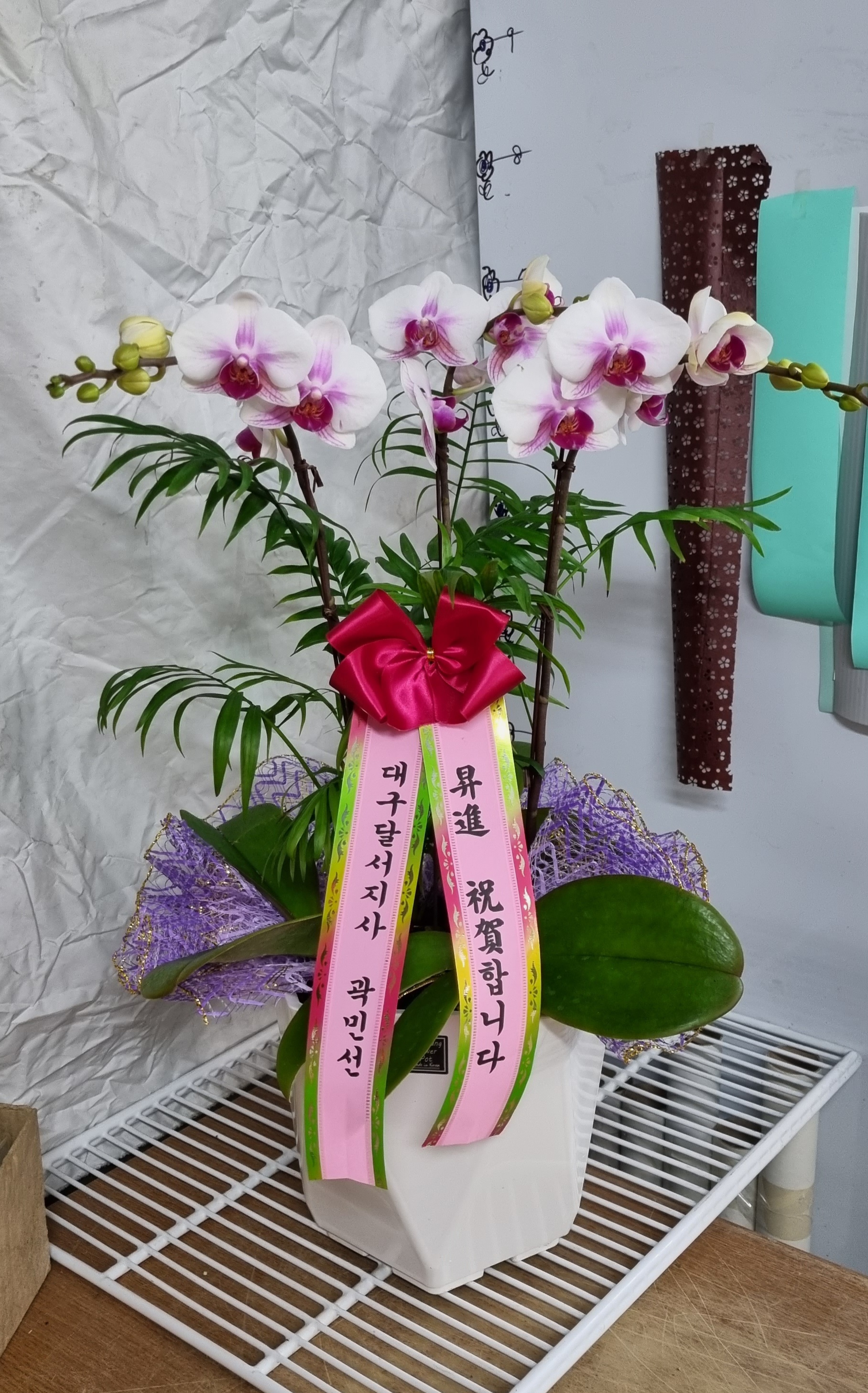 배송사진