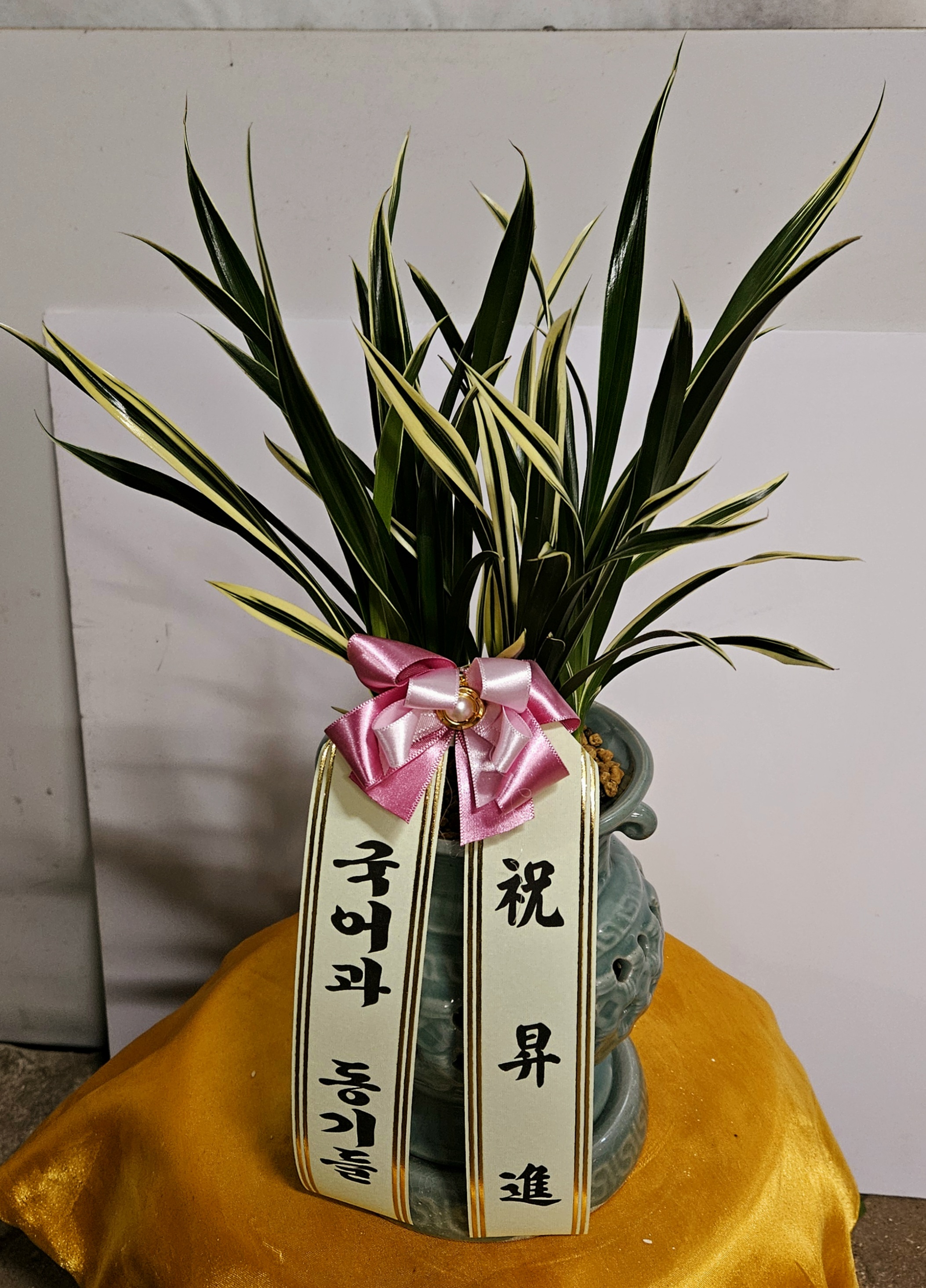 배송사진
