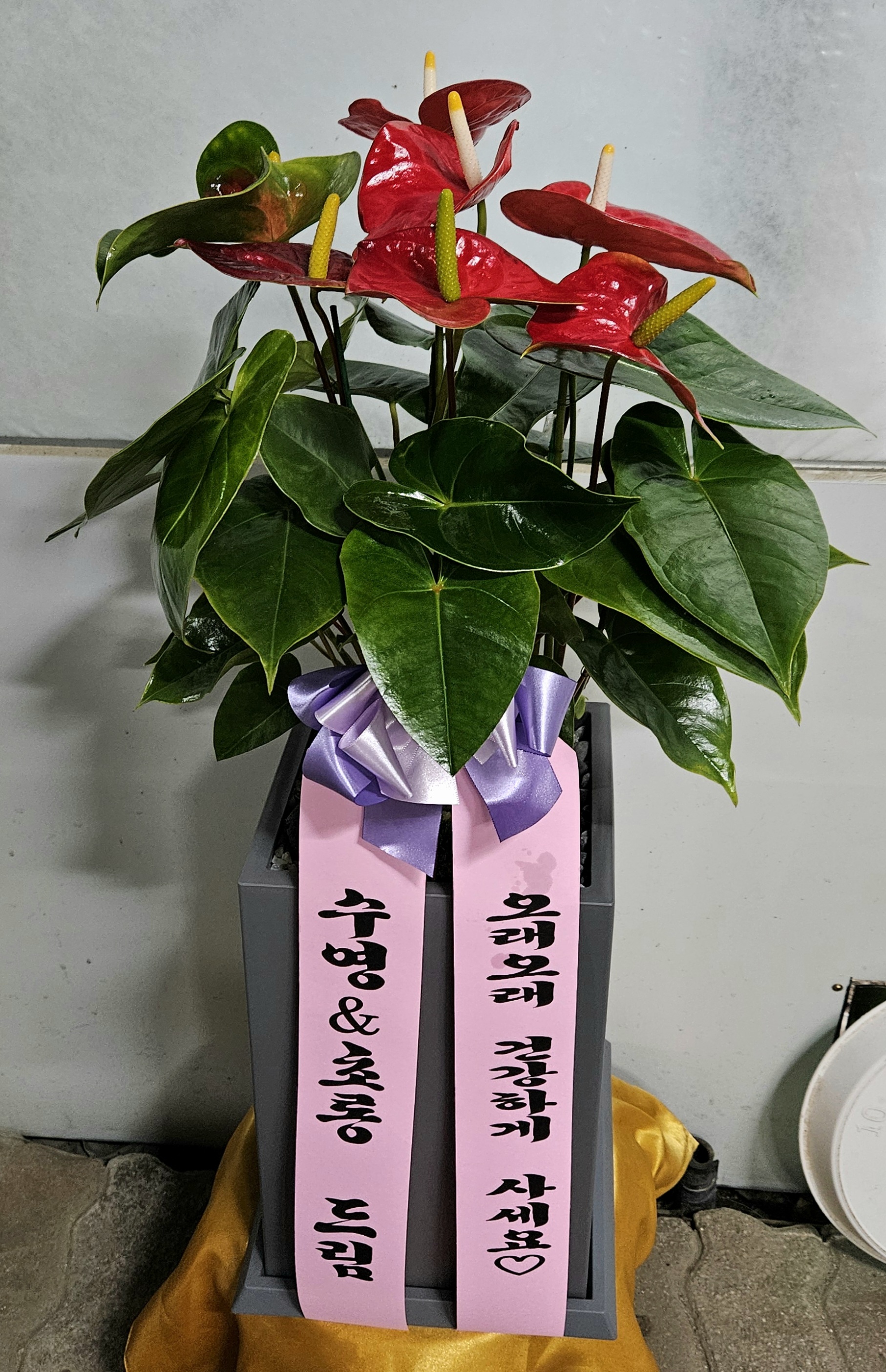 배송사진2
