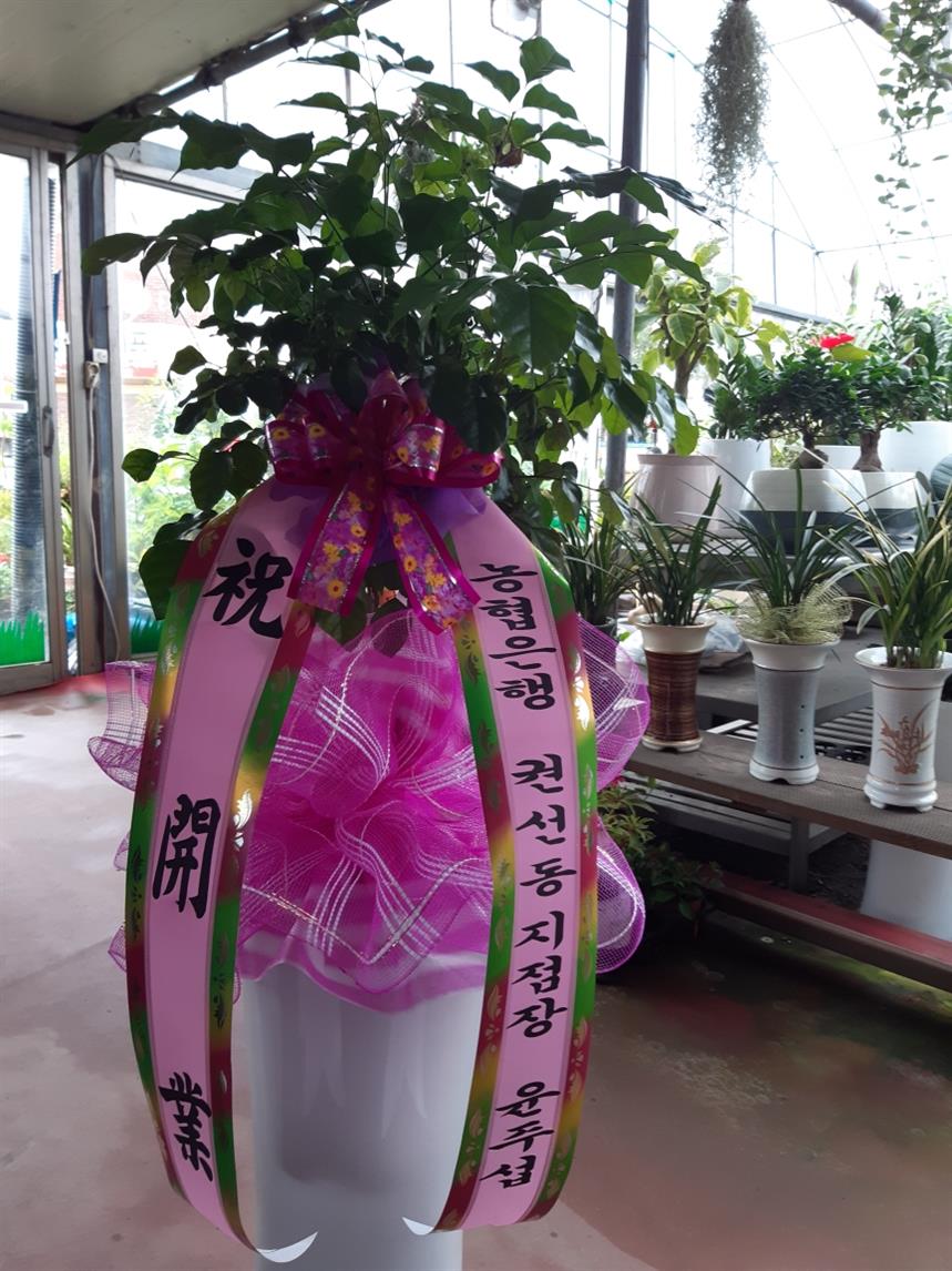 배송사진
